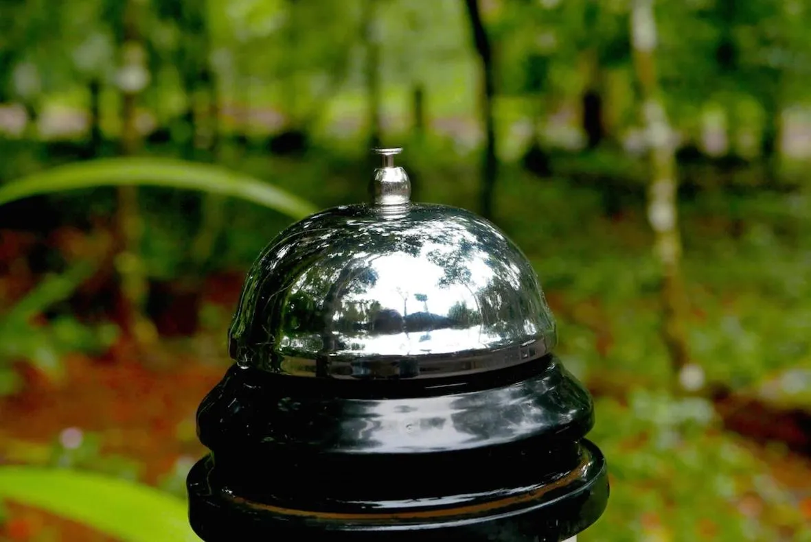 Garden in Selva de Laurel