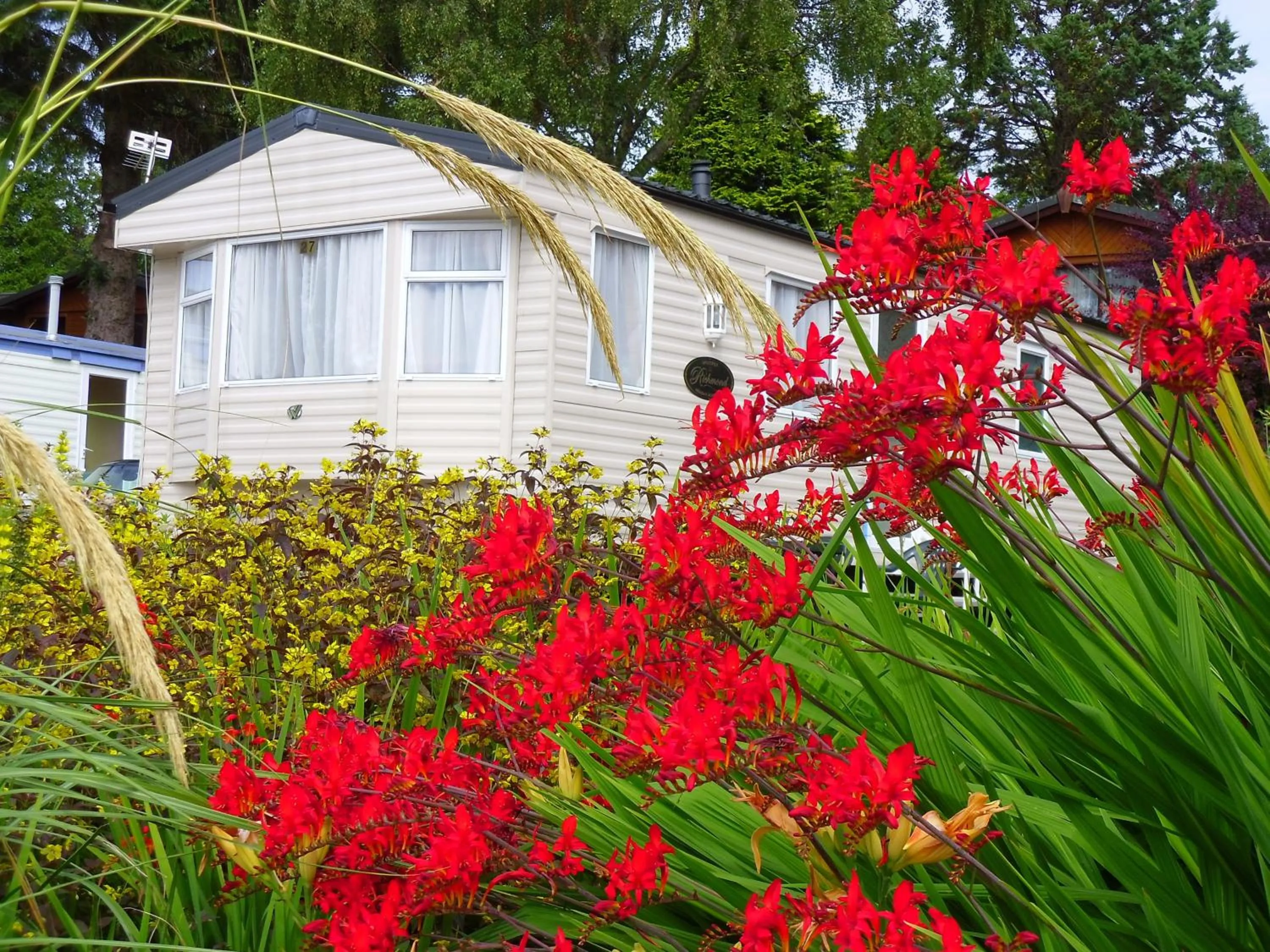 Garden in Linnhe Lochside Holidays