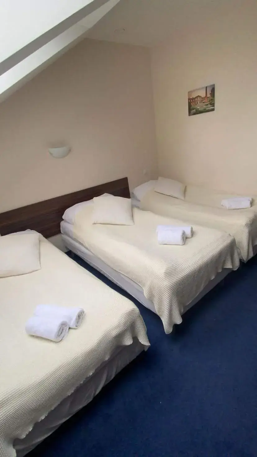 Comfort Triple Room with Shower in Modlin Palace Comfort Triple Room with Shower in Modlin Palace