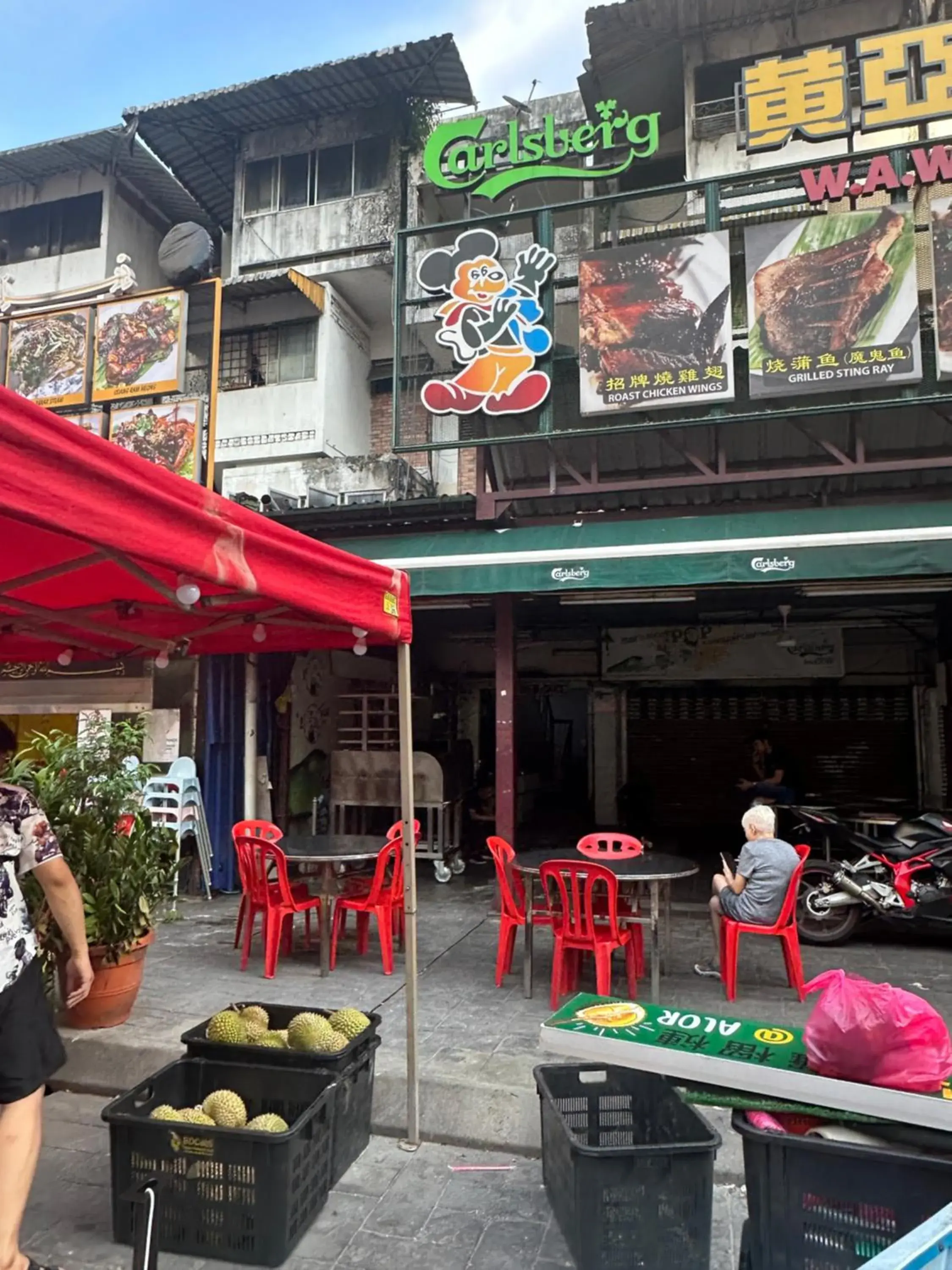 Property building in SS Grey House Property building in SS Grey House