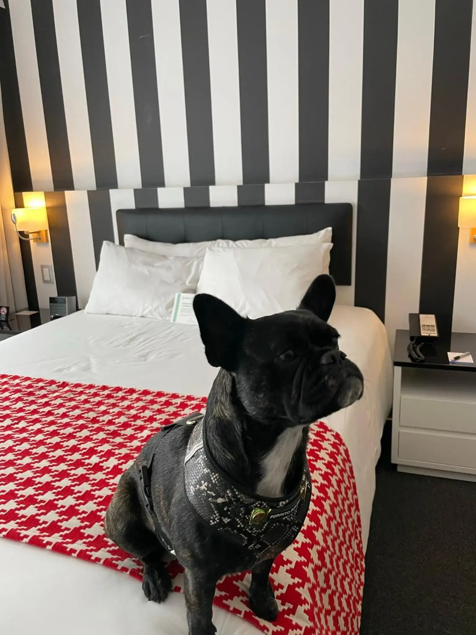 Bedroom, Bed in Wyndham Costa del Sol Lima City Bedroom, Bed in Wyndham Costa del Sol Lima City