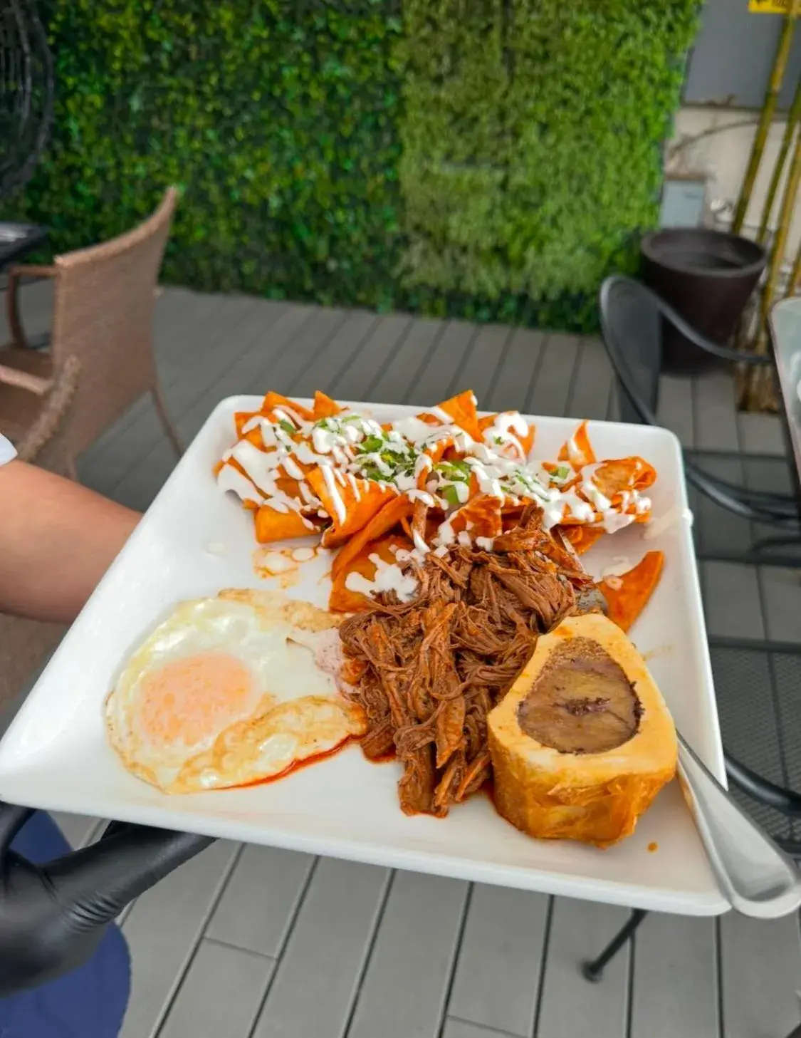 Restaurant/places to eat in Hotel Velario Restaurant/places to eat in Hotel Velario