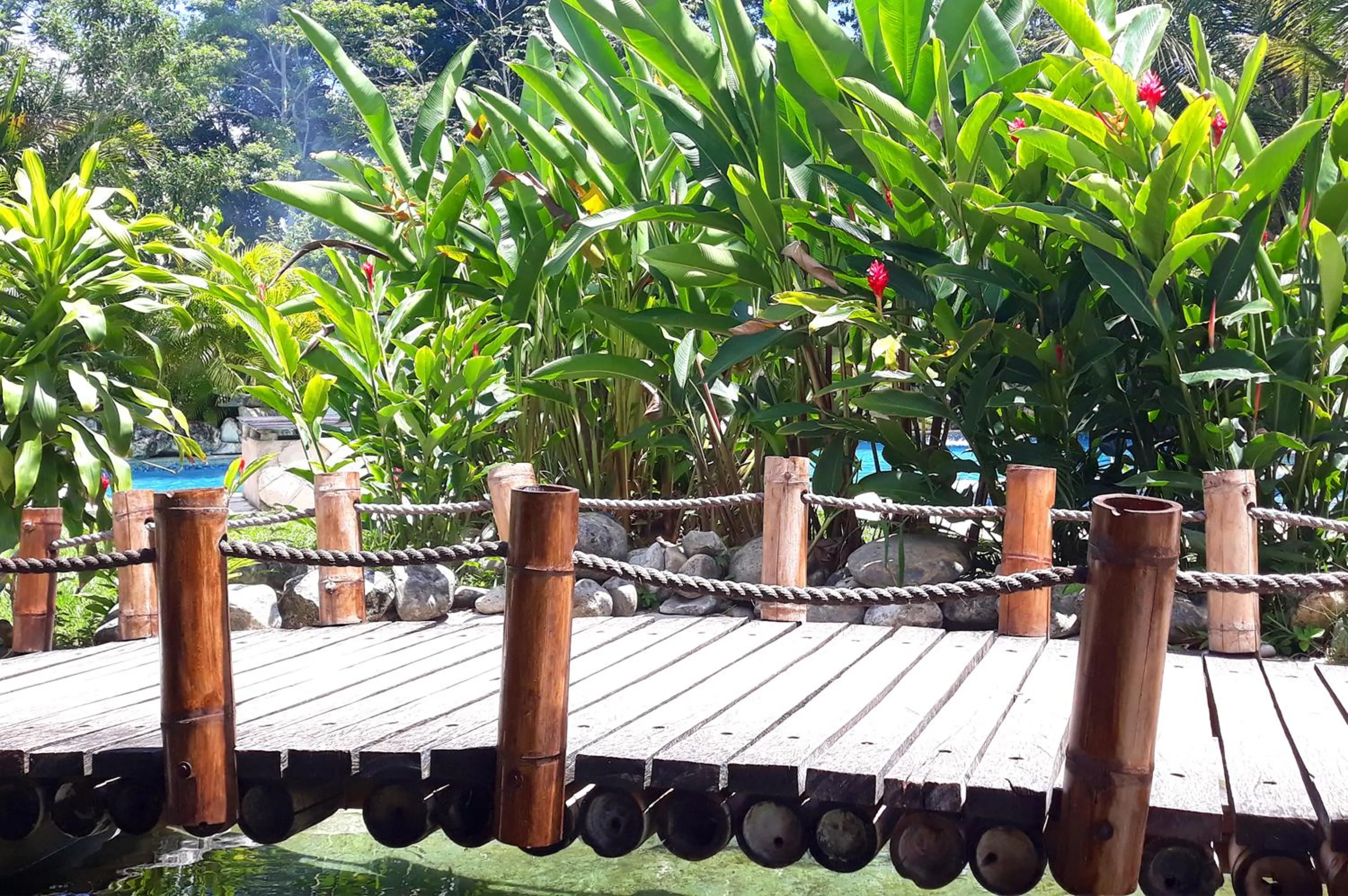 AXKAN PALENQUE, ALBERCAS, GASTRONOMIA MAR y TIERRA & TRAVEL AGENCY