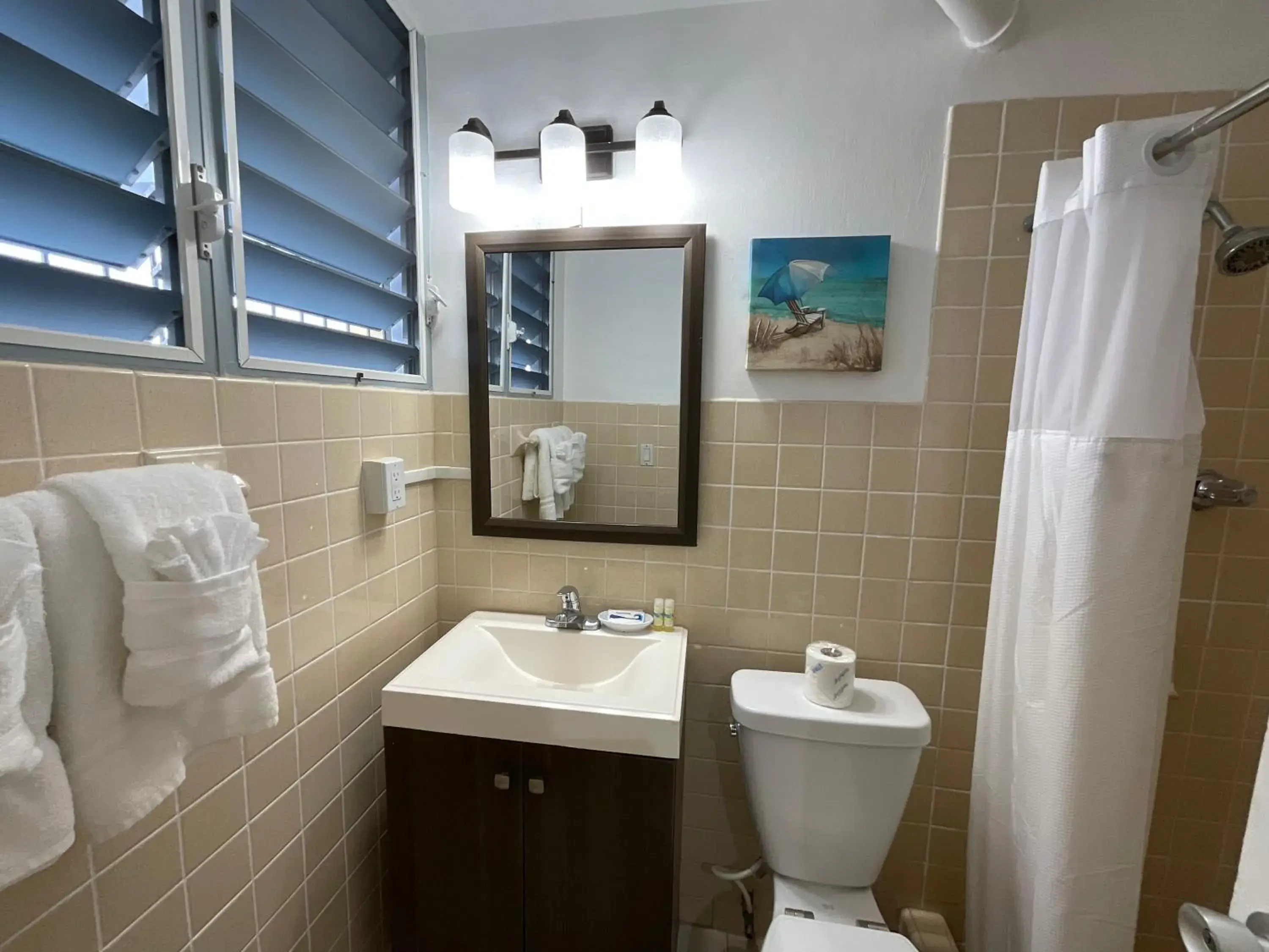 Double Room (1 Adult + 1 Child) in The Frederiksted Hotel Double Room (1 Adult + 1 Child) in The Frederiksted Hotel