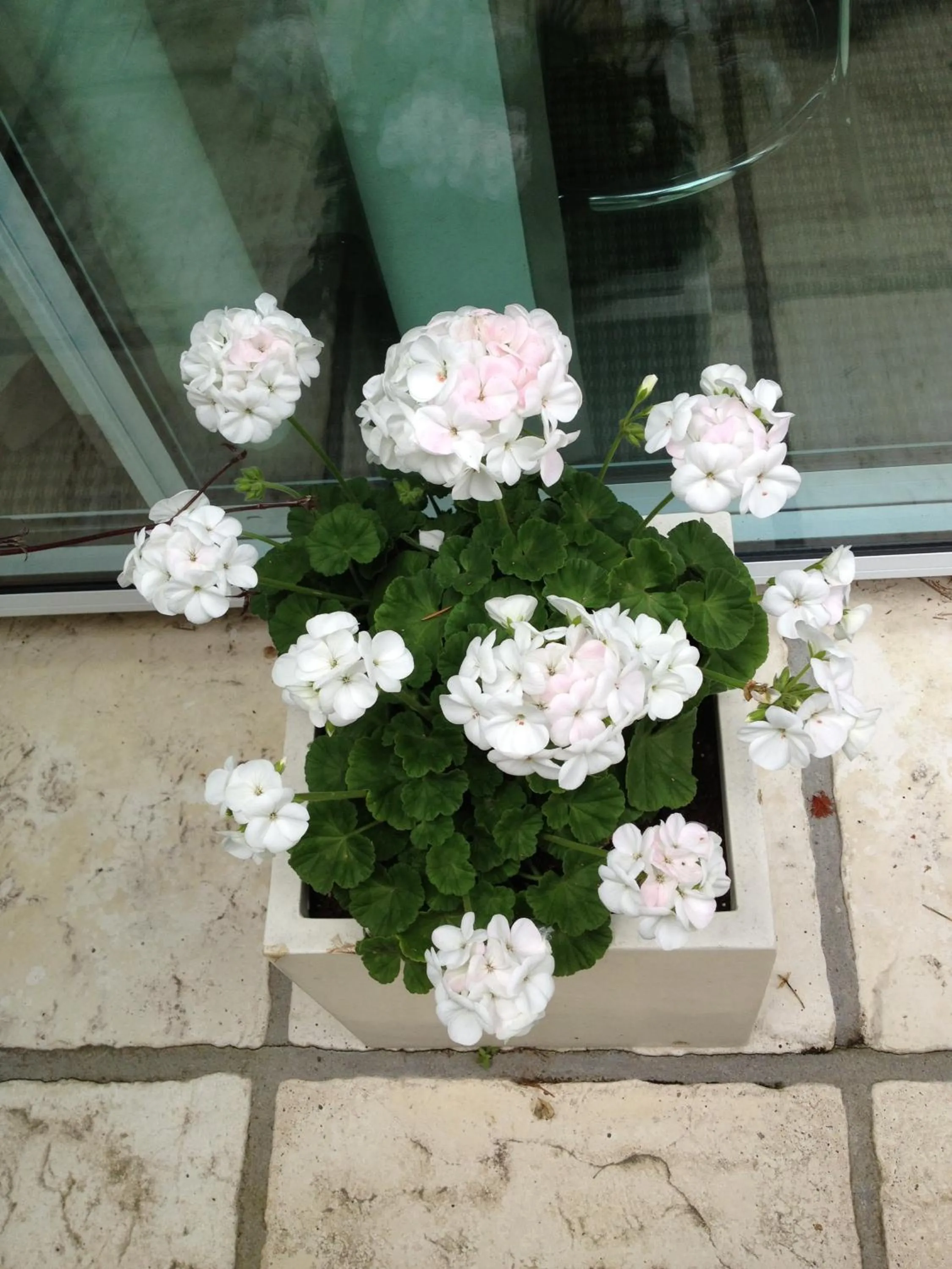 Decorative detail in Heriot Lane City Apartments