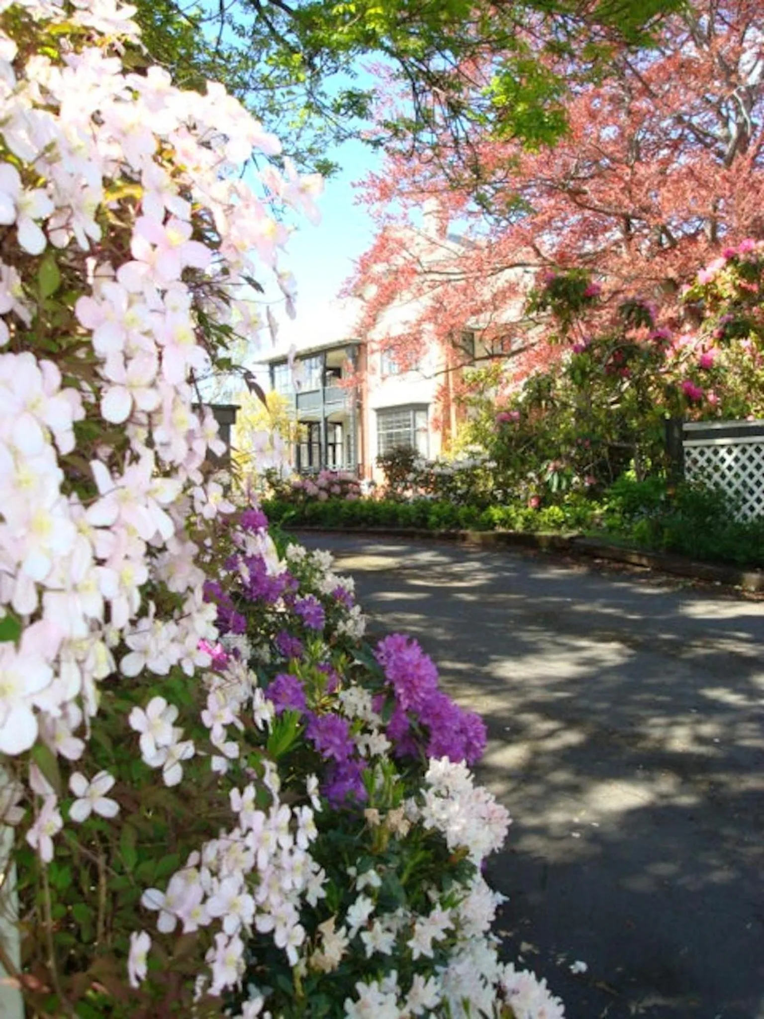 Garden in Heriot Lane City Apartments