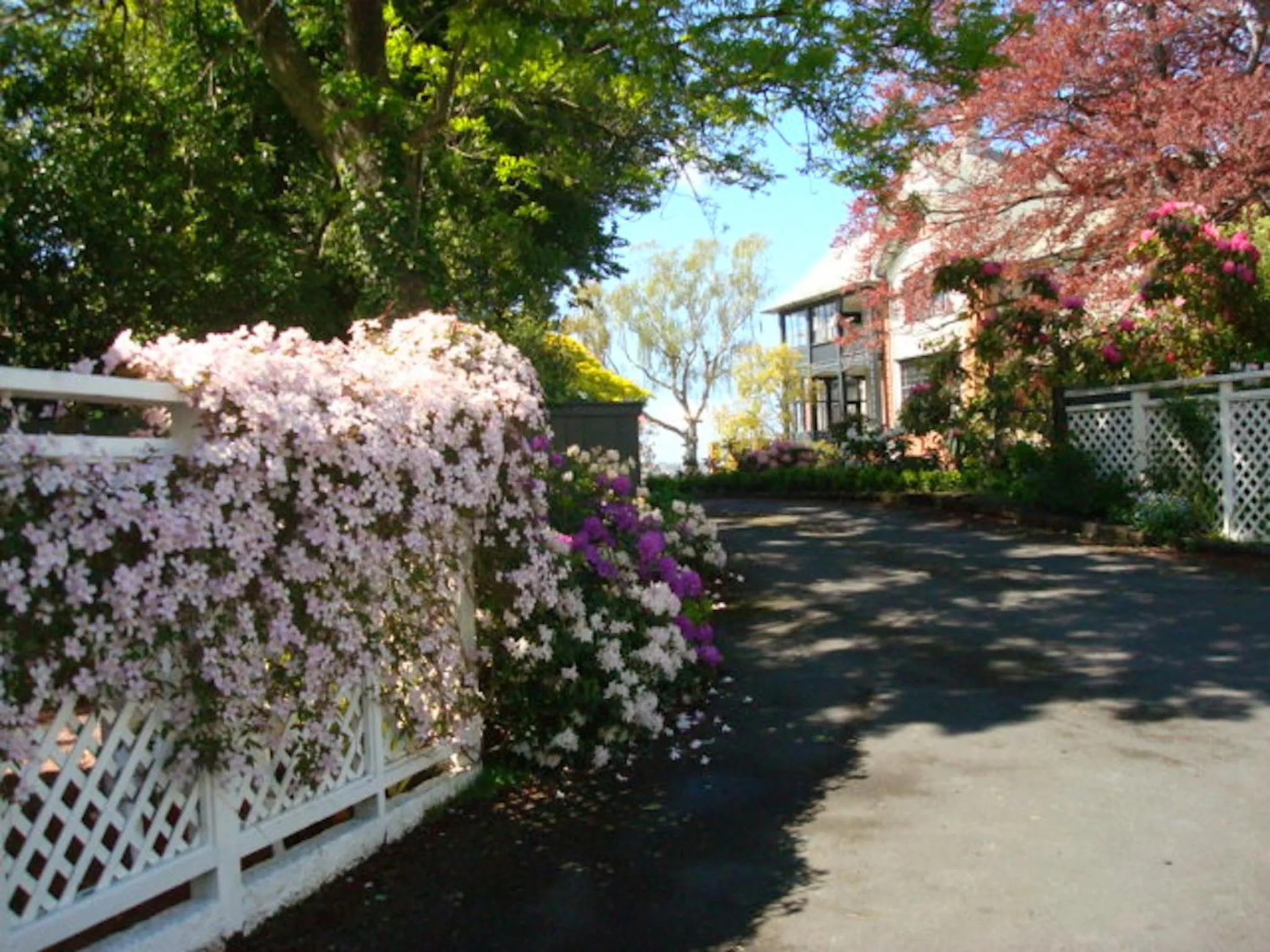 Garden in Heriot Lane City Apartments