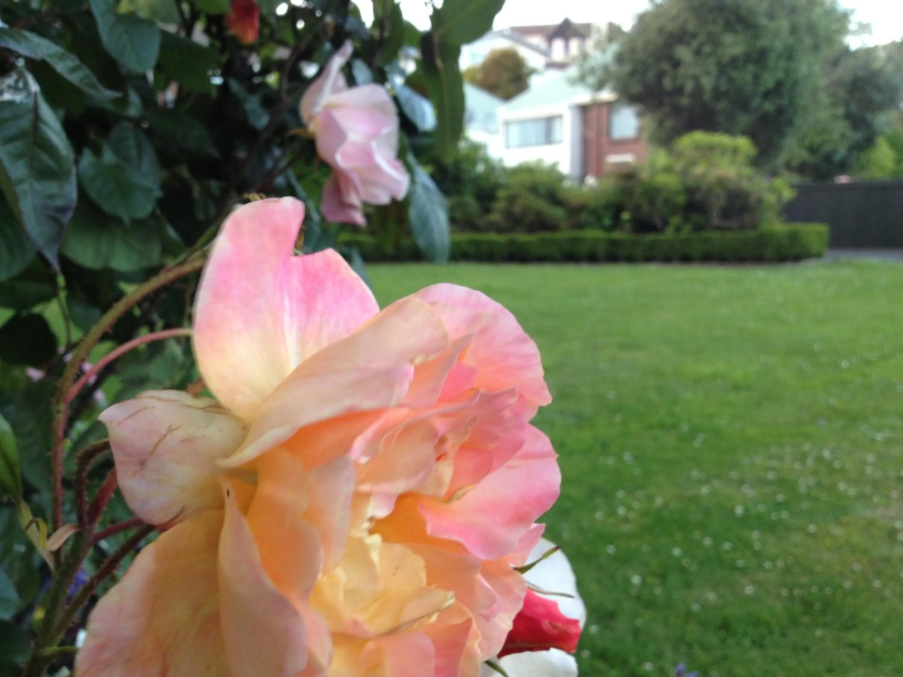 Facade/entrance in Heriot Lane City Apartments