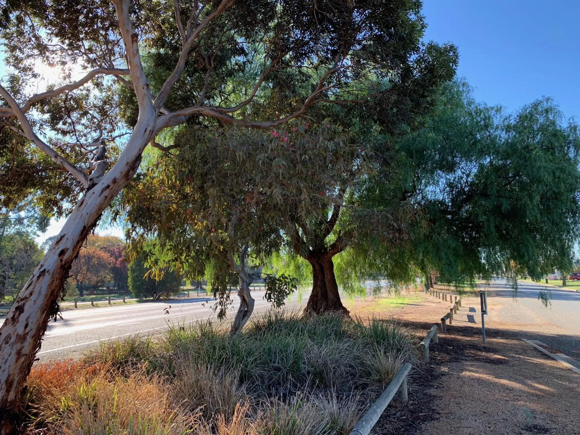 Neighbourhood in Gazebo Motor Inn - Strathmerton