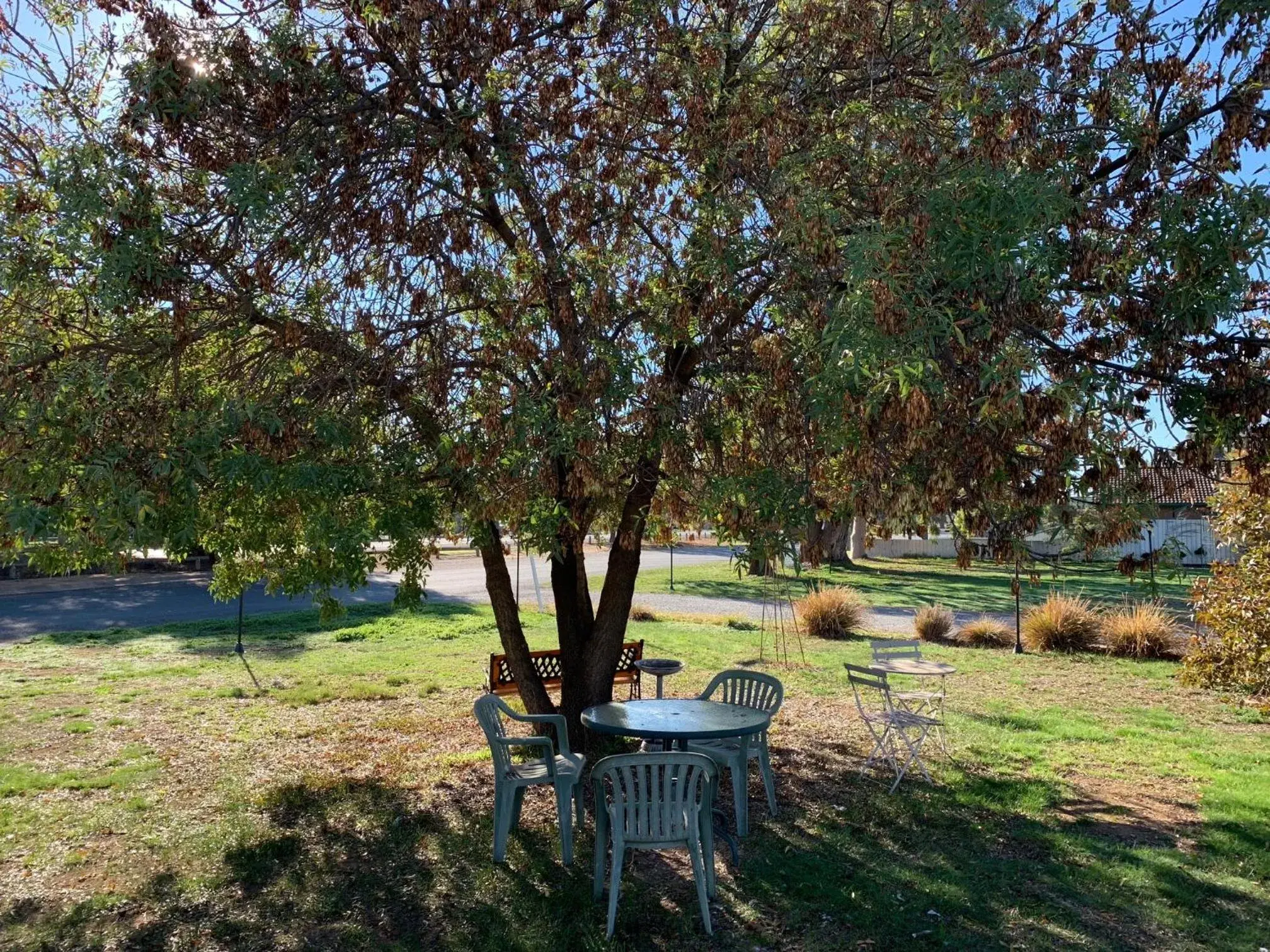 Garden in Gazebo Motor Inn - Strathmerton Garden in Gazebo Motor Inn - Strathmerton