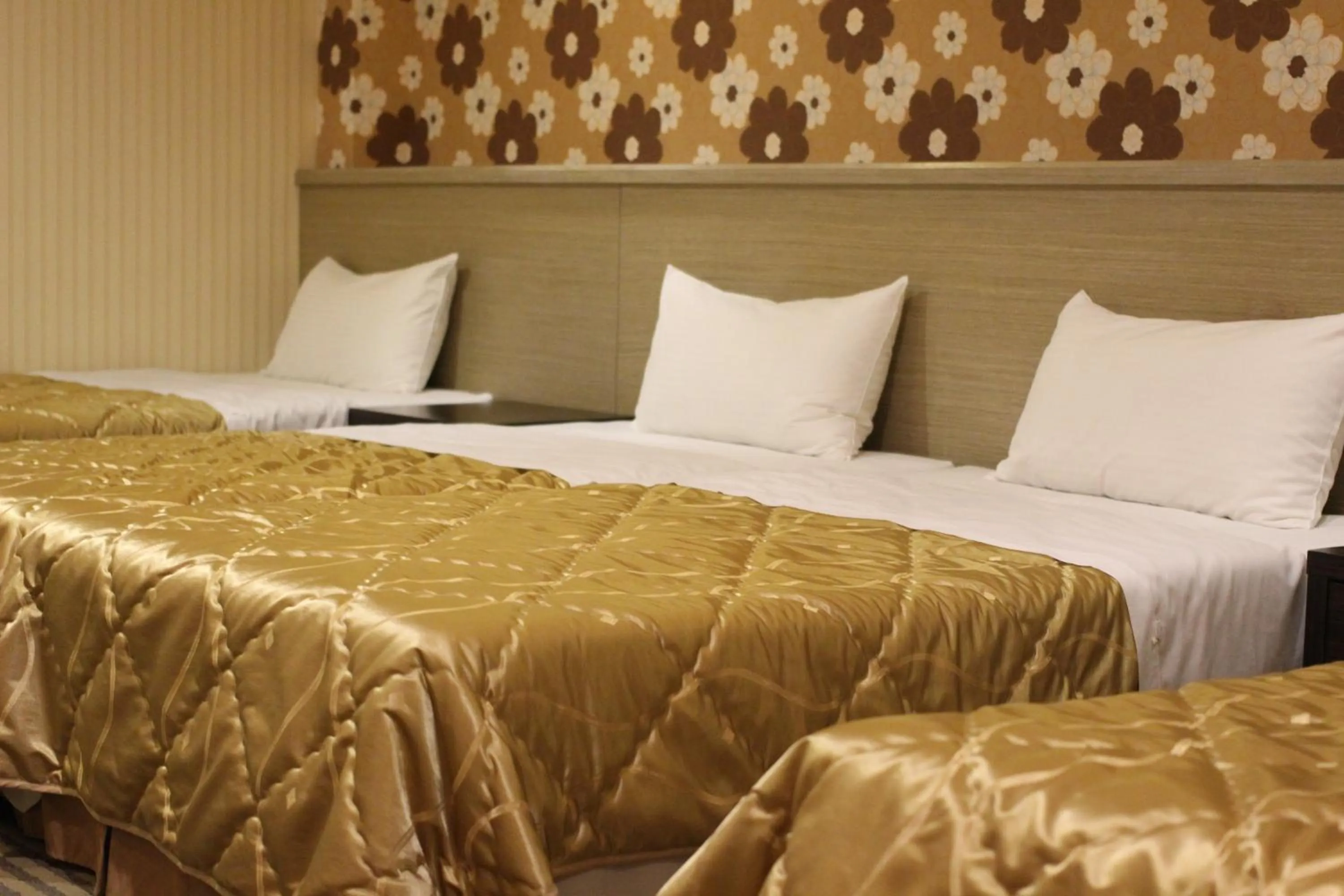 Bed in Home Full Hotel