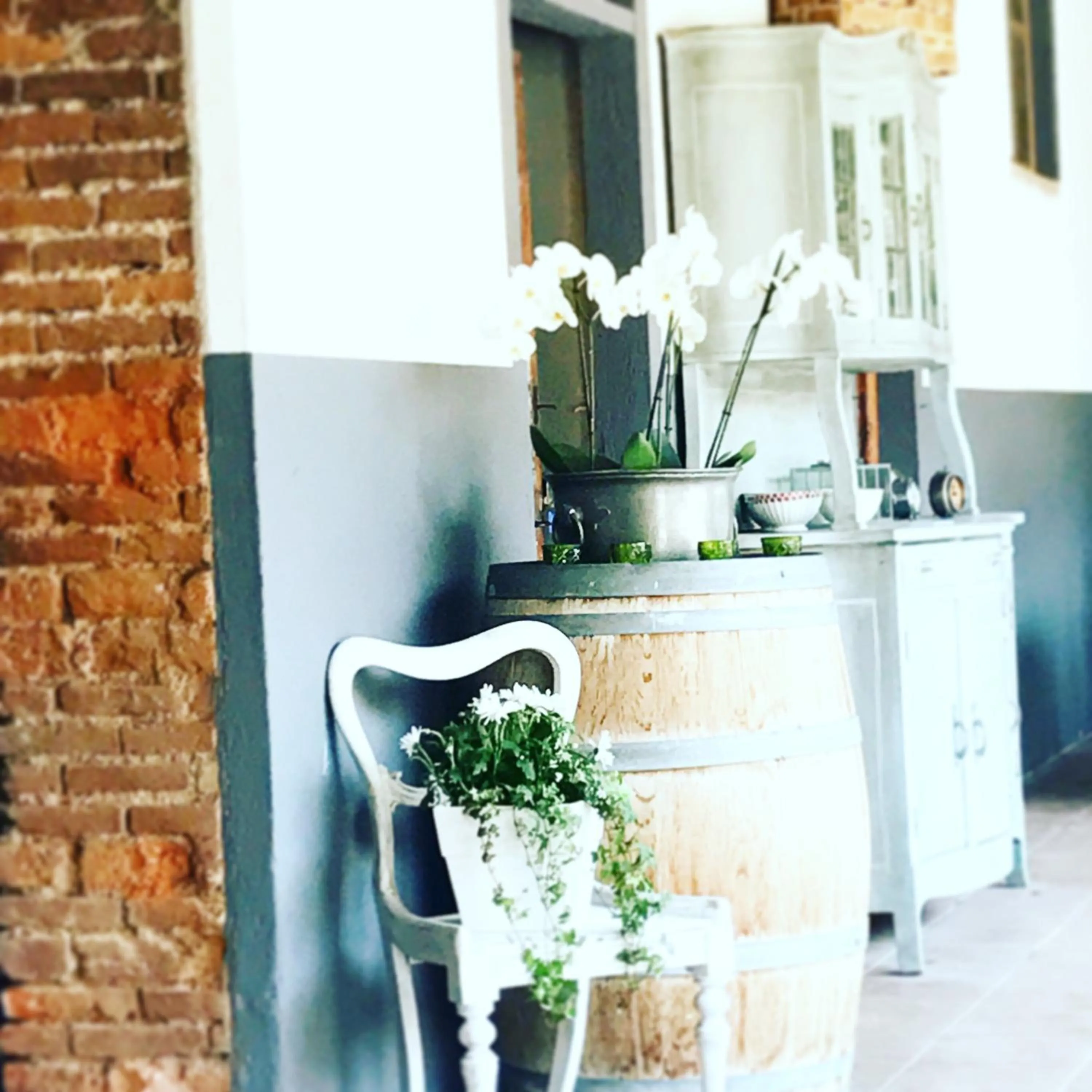 Restaurant/places to eat in Agriturismo Cascina Magana