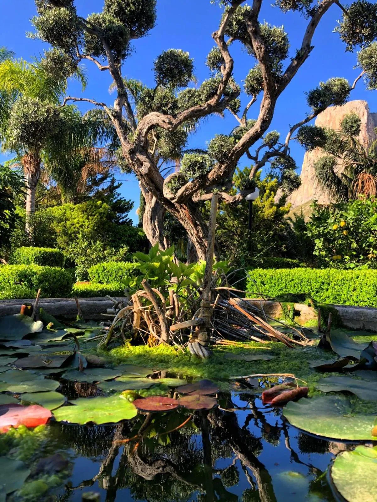 Garden in Villa Megna - Green Paradise B&B