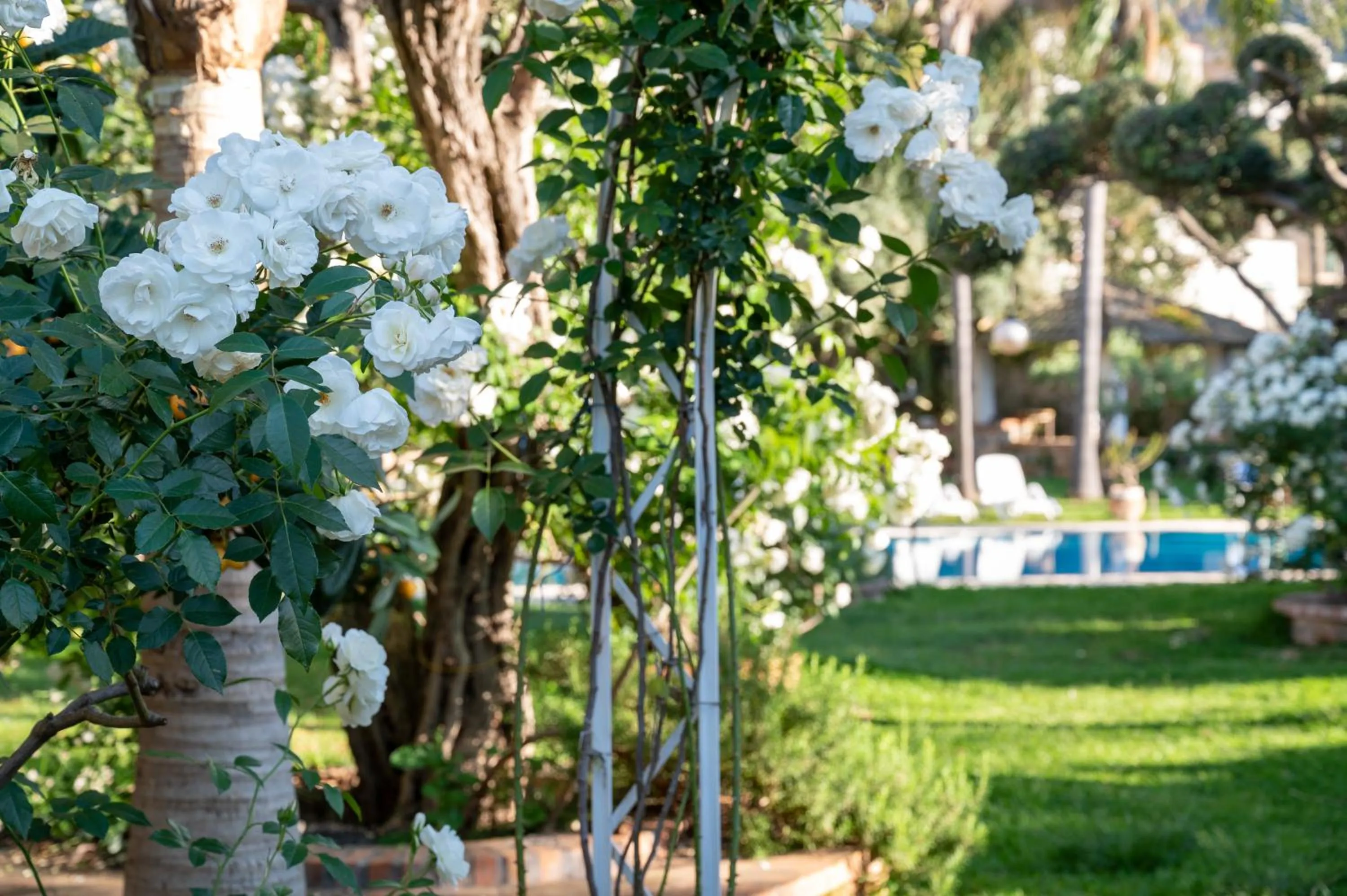 Spring in Villa Megna - Green Paradise B&B