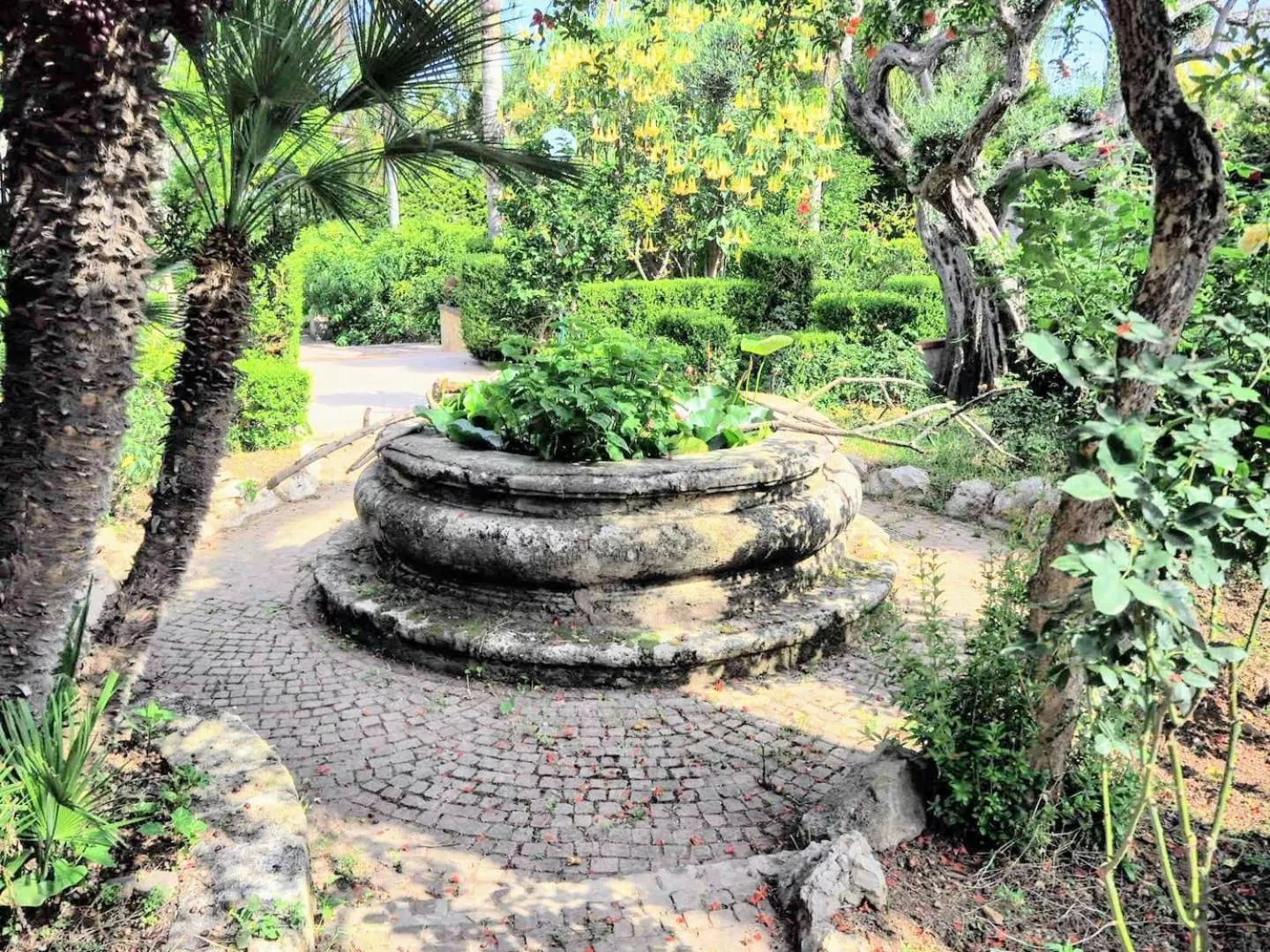 Garden in Villa Megna - Green Paradise B&B