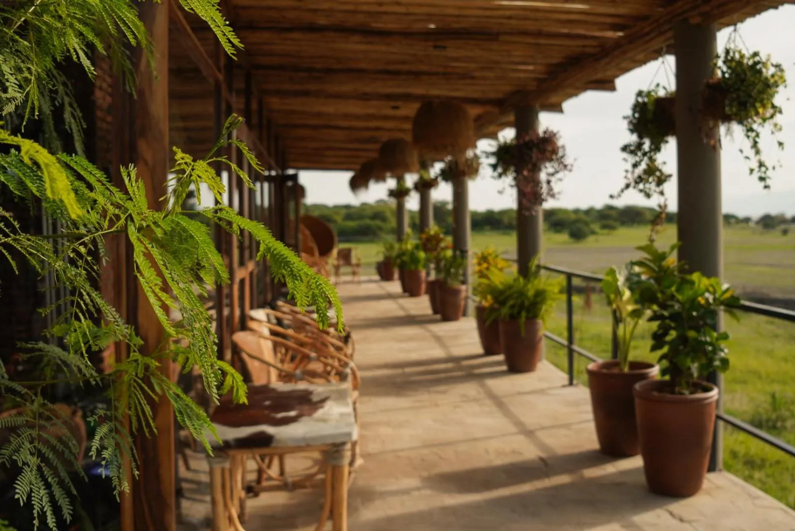 Fitness centre/facilities in Suricata Boma Lodge