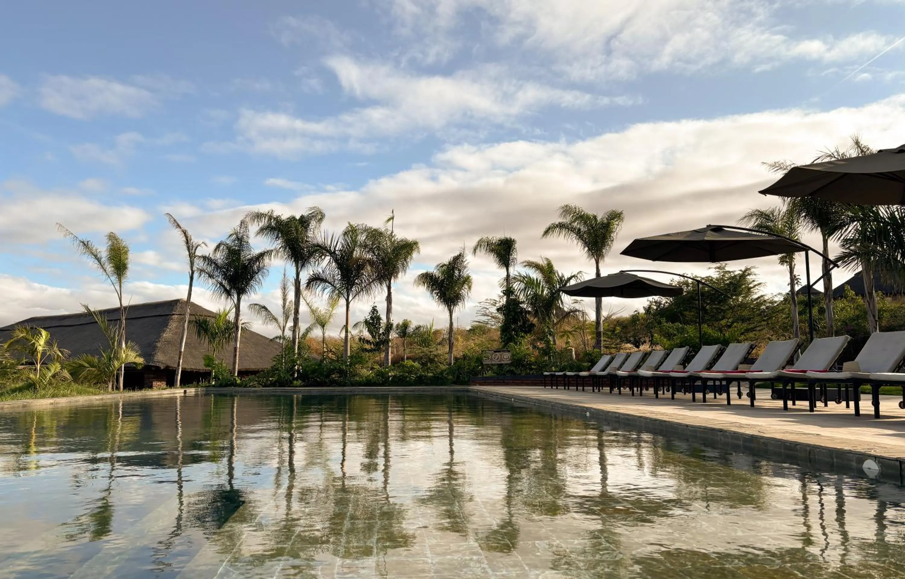 Swimming pool in Suricata Boma Lodge