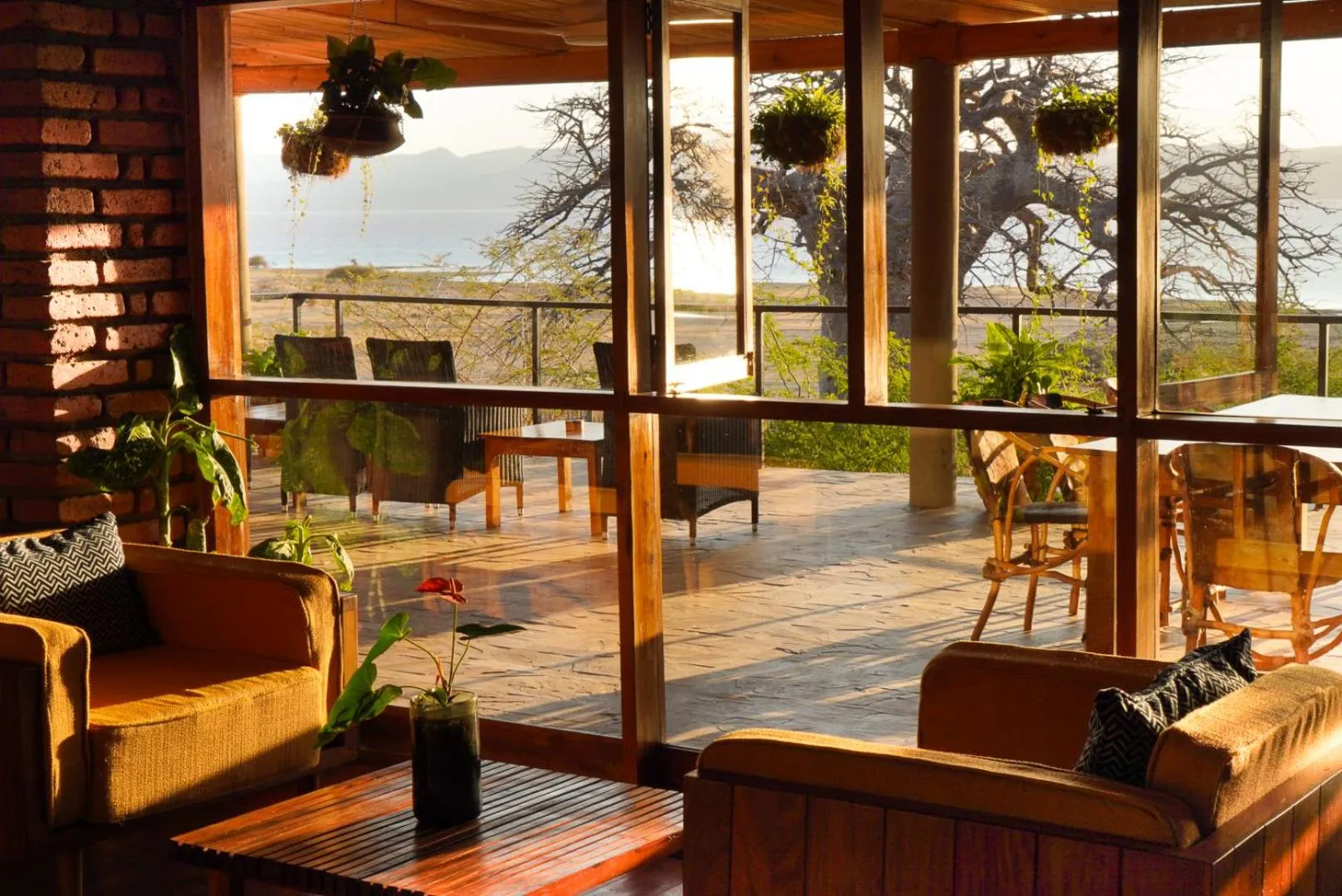 Balcony/Terrace in Suricata Boma Lodge