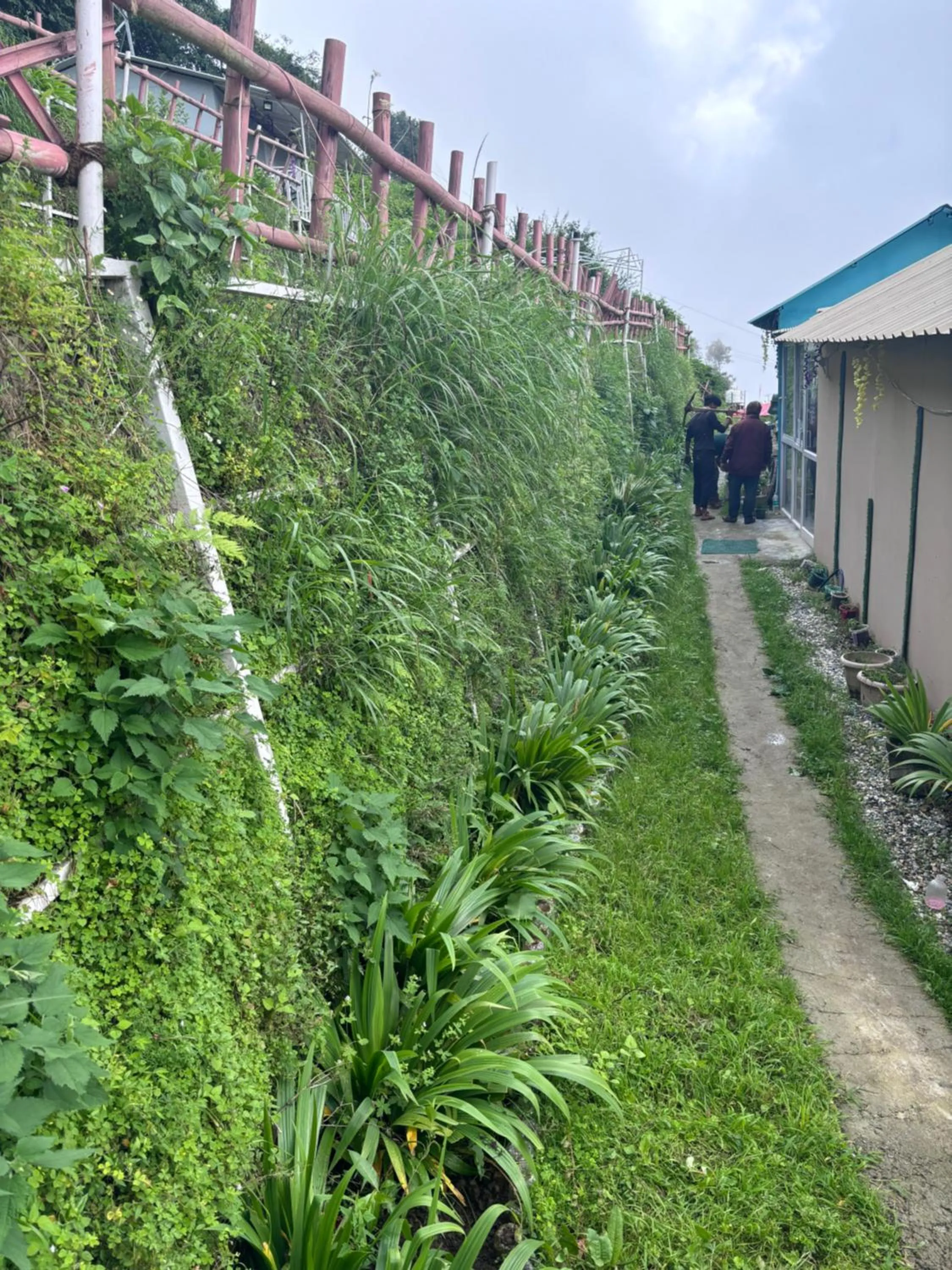 Summer in The Green Valley Resort Kanatal