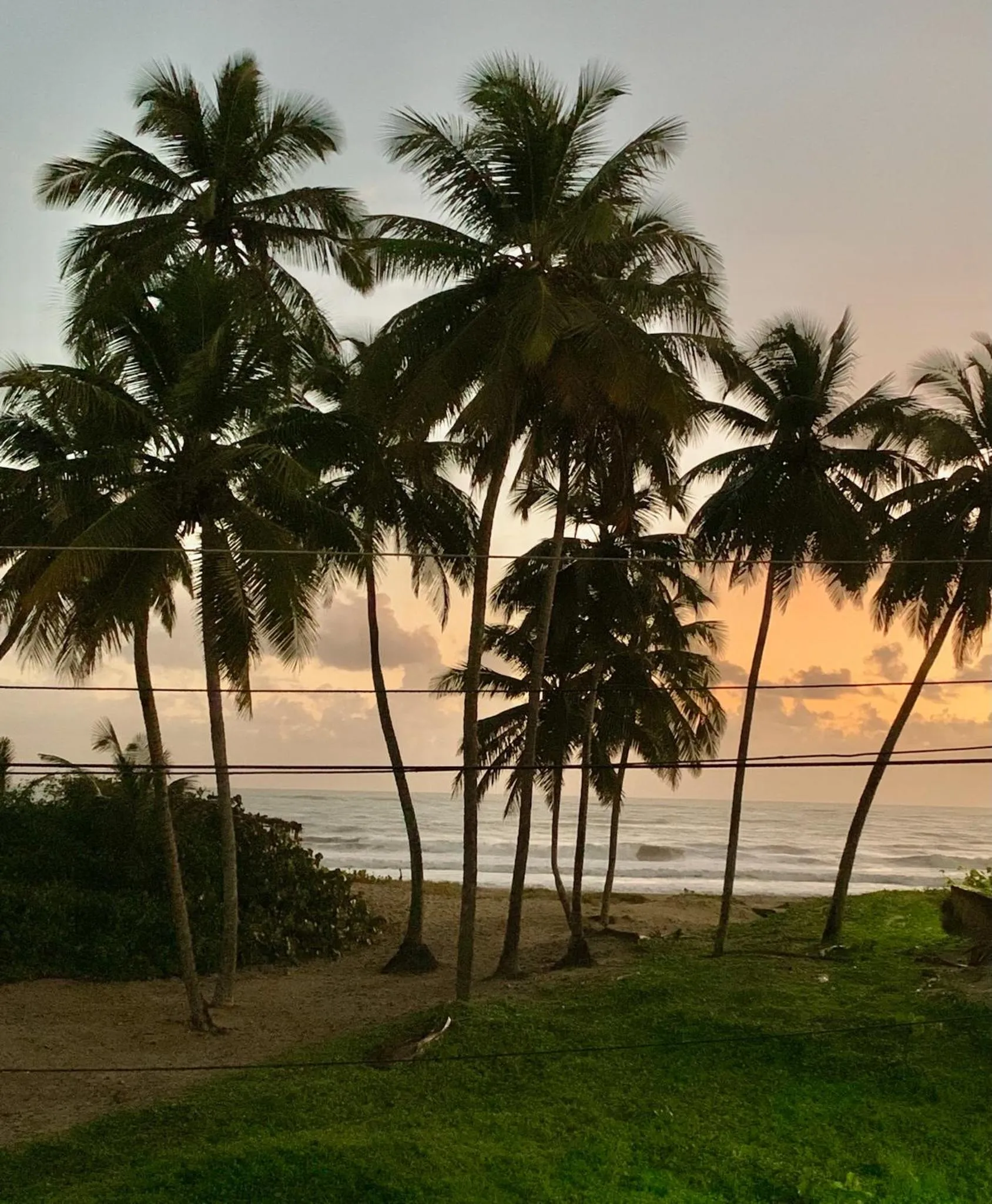 Natural landscape in Brisas Doradas Beachfront Villa