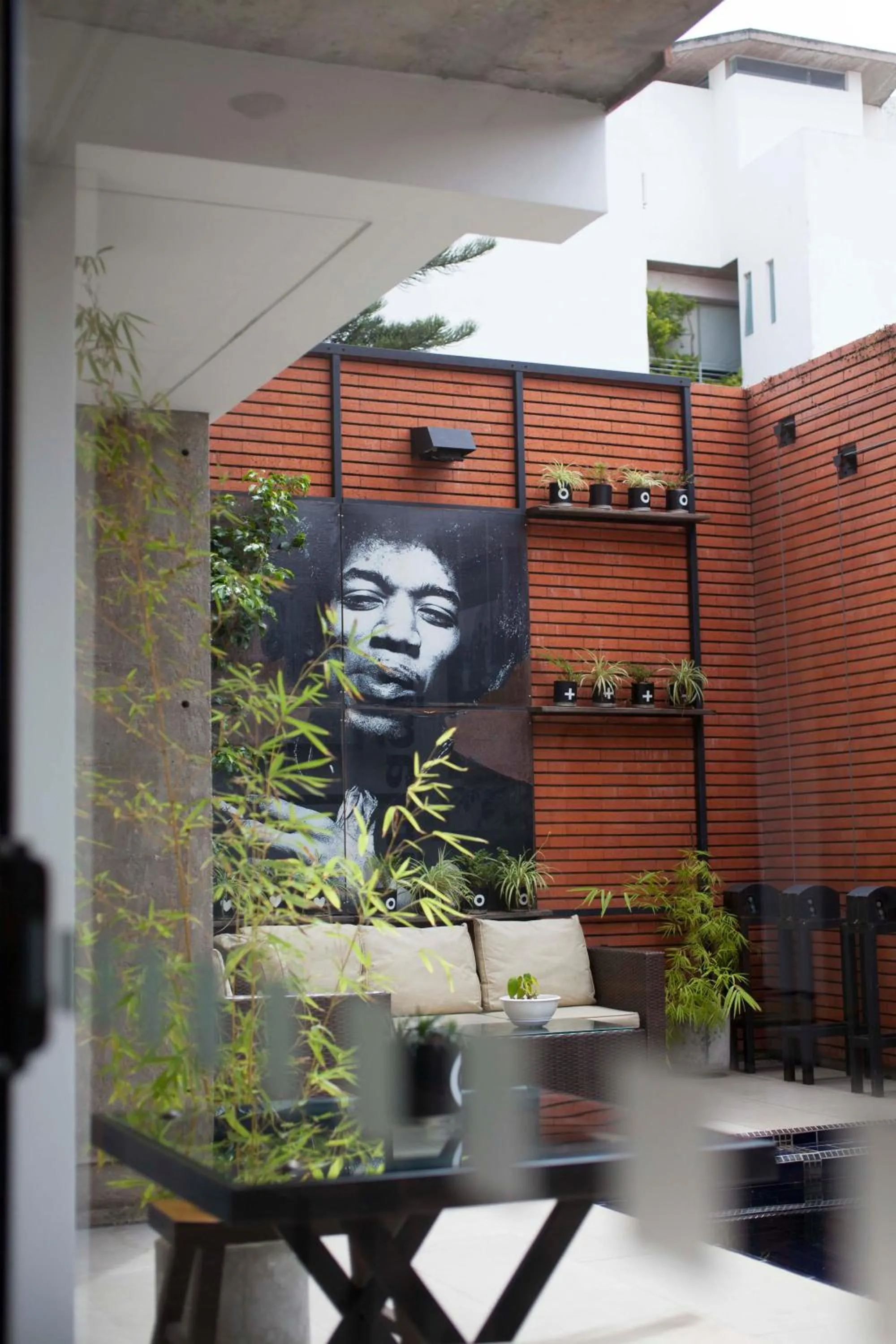 Garden in Alfonsina Hotel Boutique