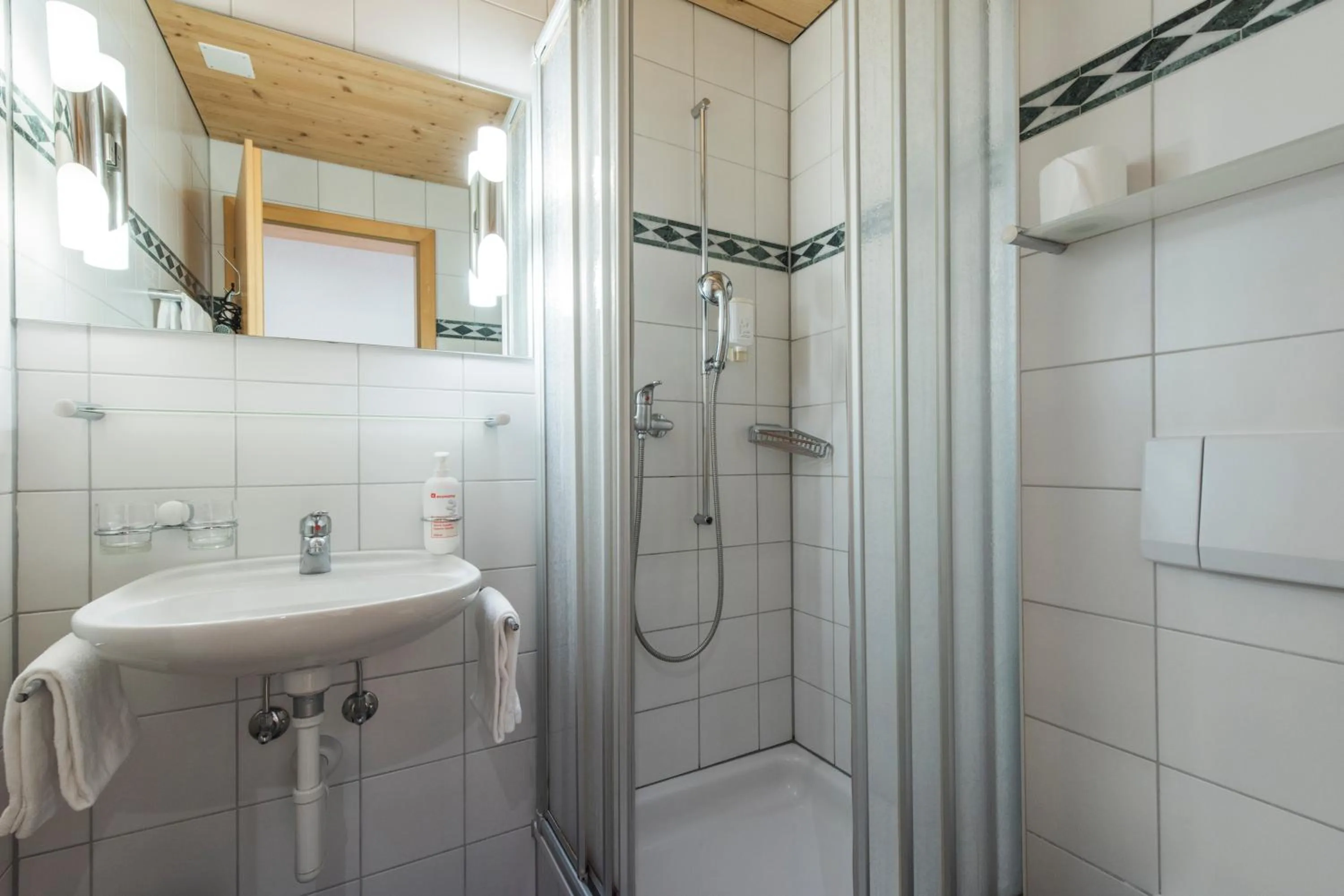 Shower in Hotel Alpenrose beim Ballenberg