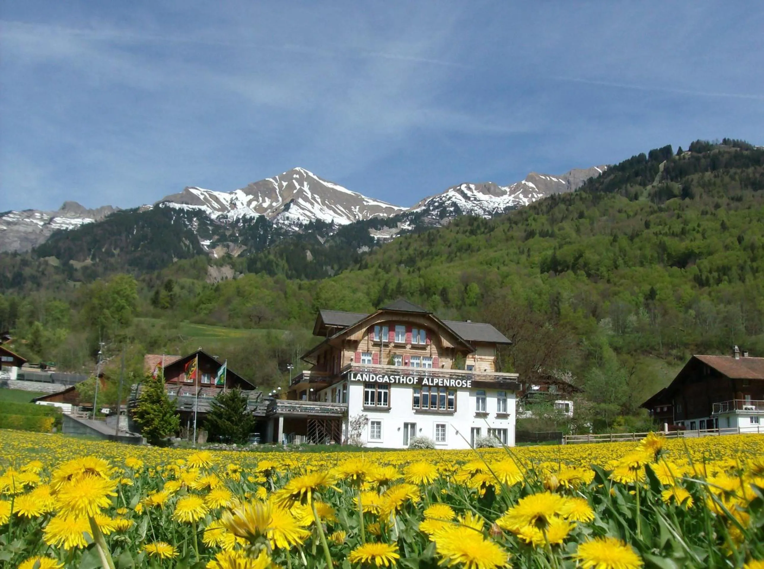 Facade/entrance in Hotel Alpenrose beim Ballenberg