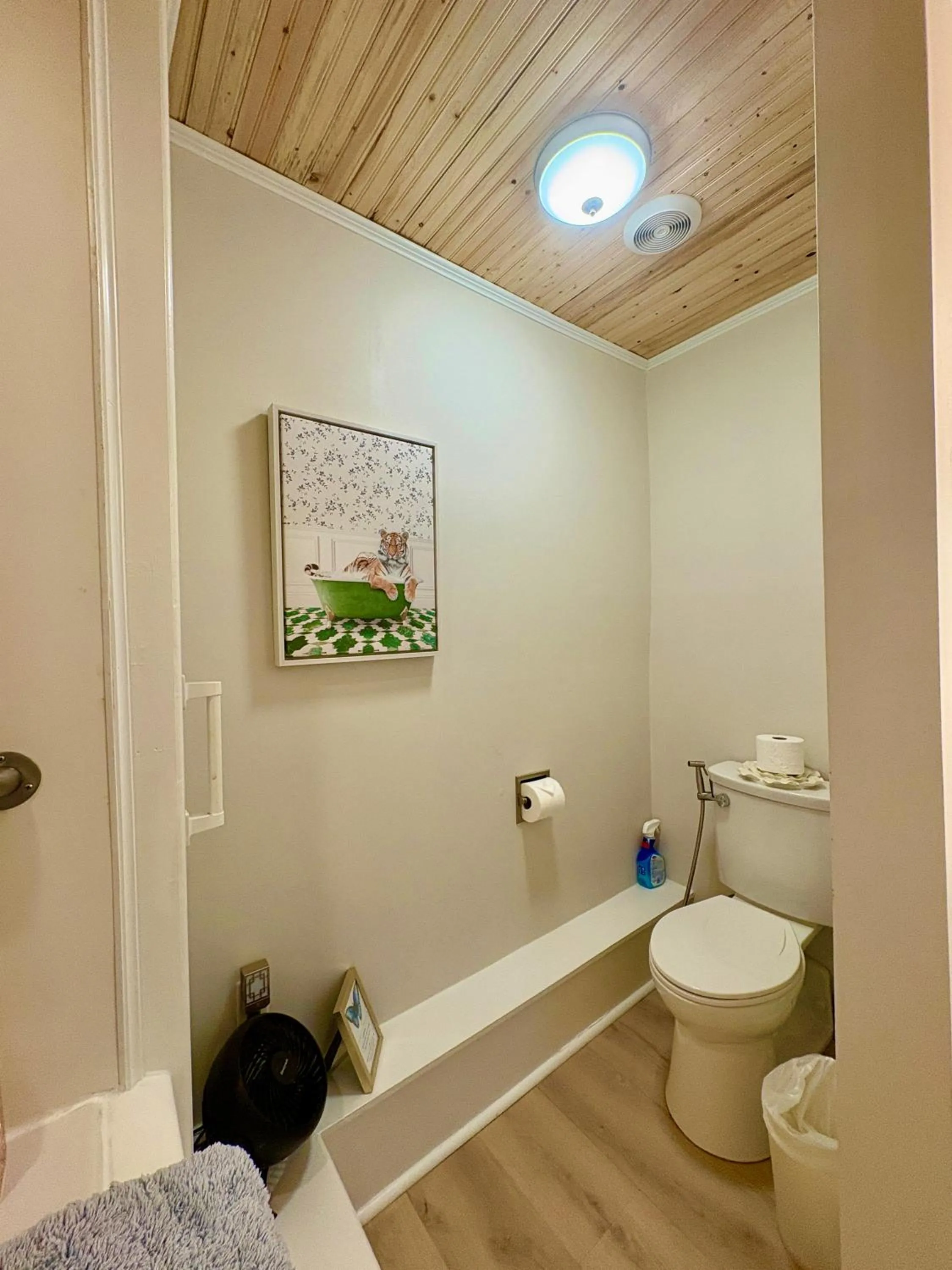 Toilet in Chesnut Cottage Inn