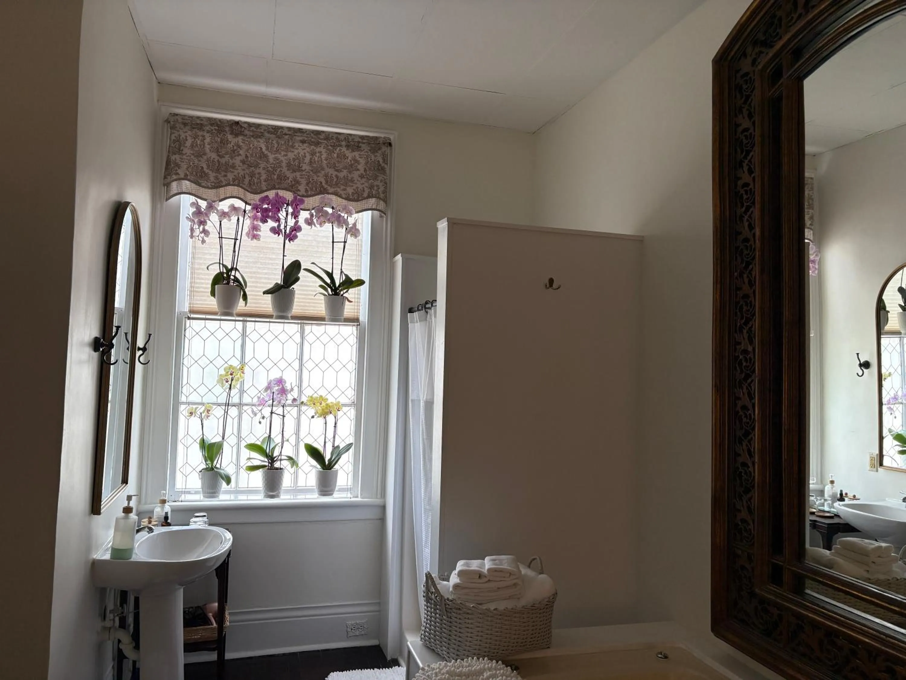 Shower in Chesnut Cottage Inn