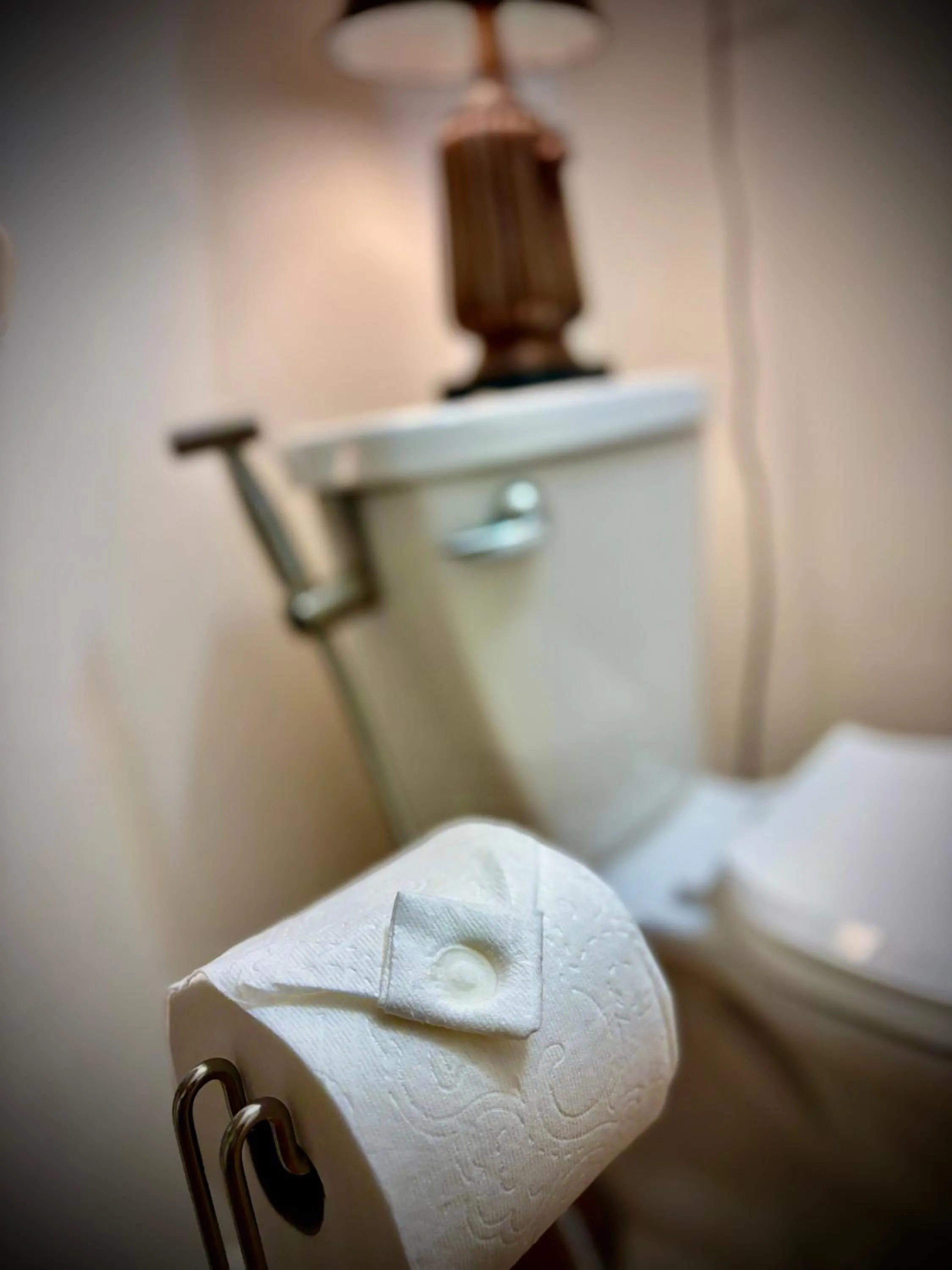 Bathroom in Chesnut Cottage Inn