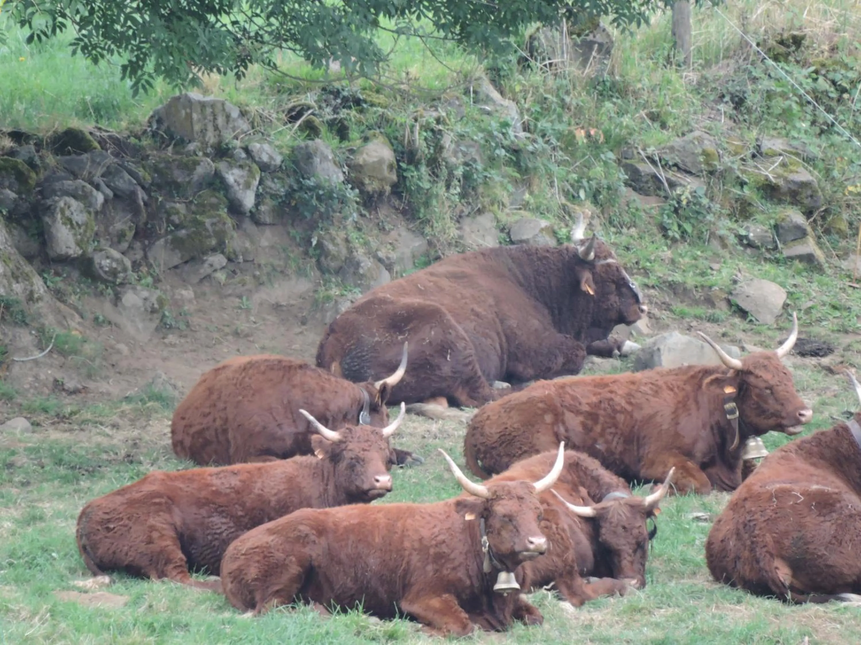 Other in Auberge de l'Aspre