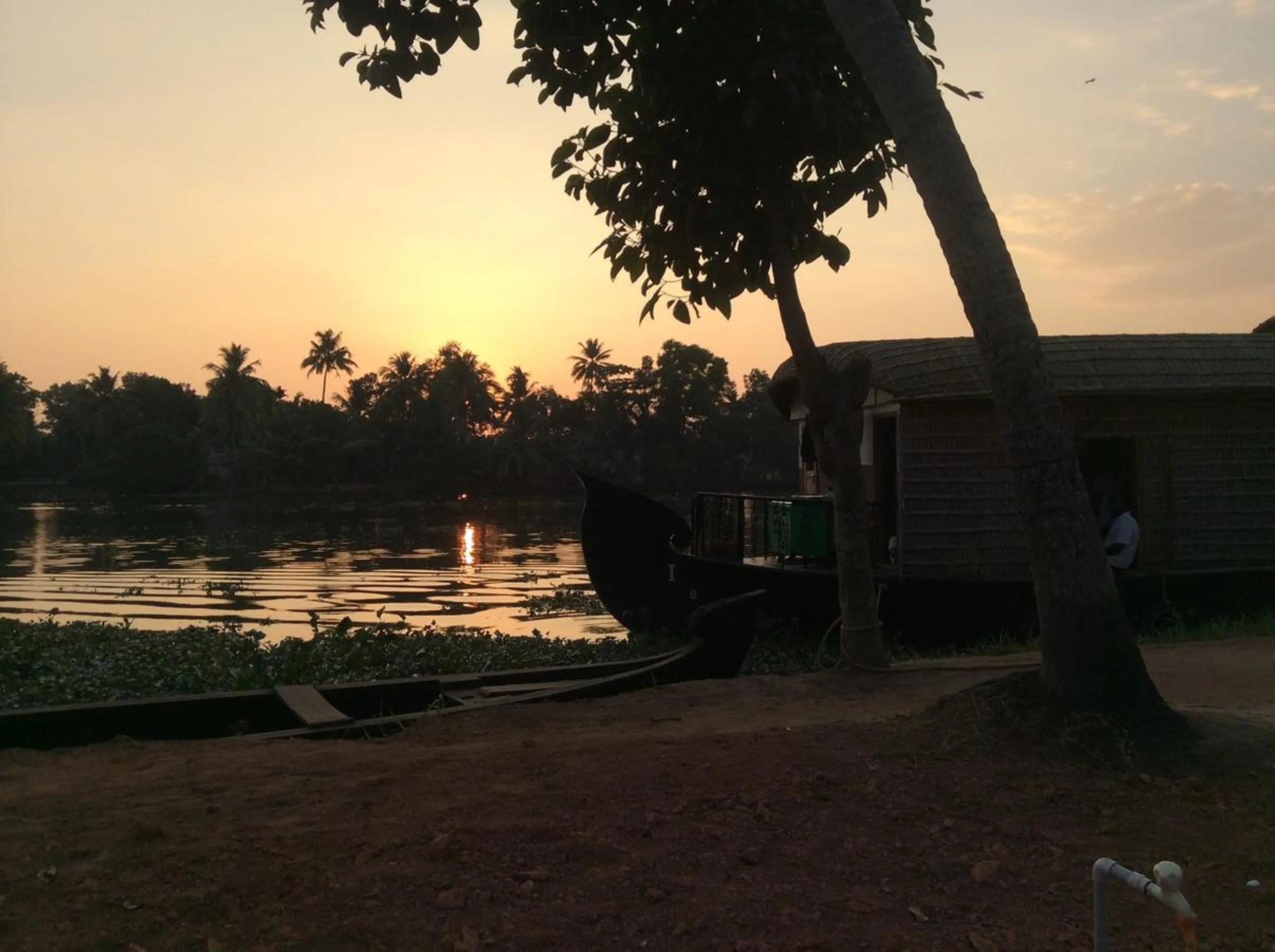 View (from property/room) in Ayana's Homestay