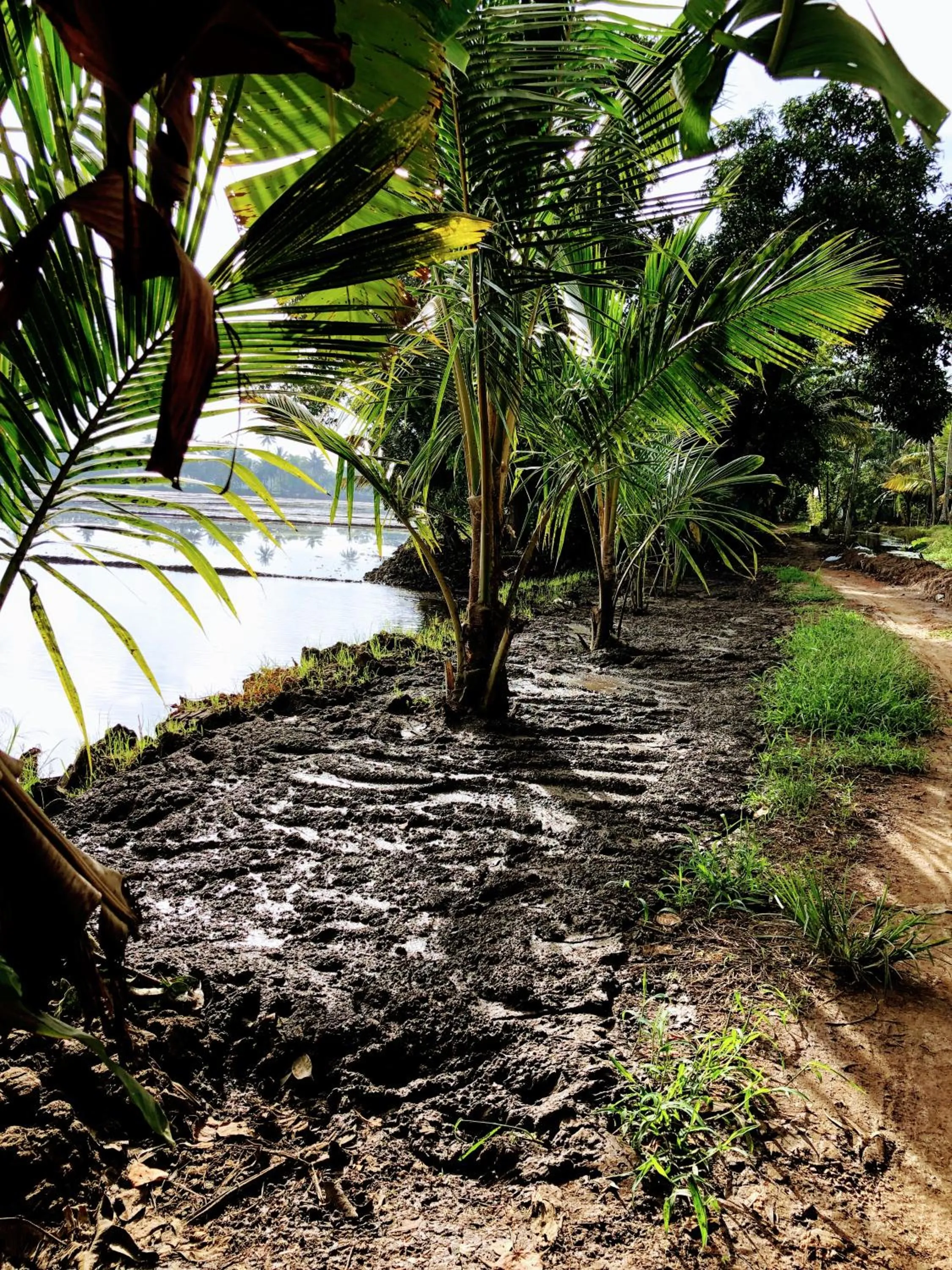 Other in Ayana's Homestay