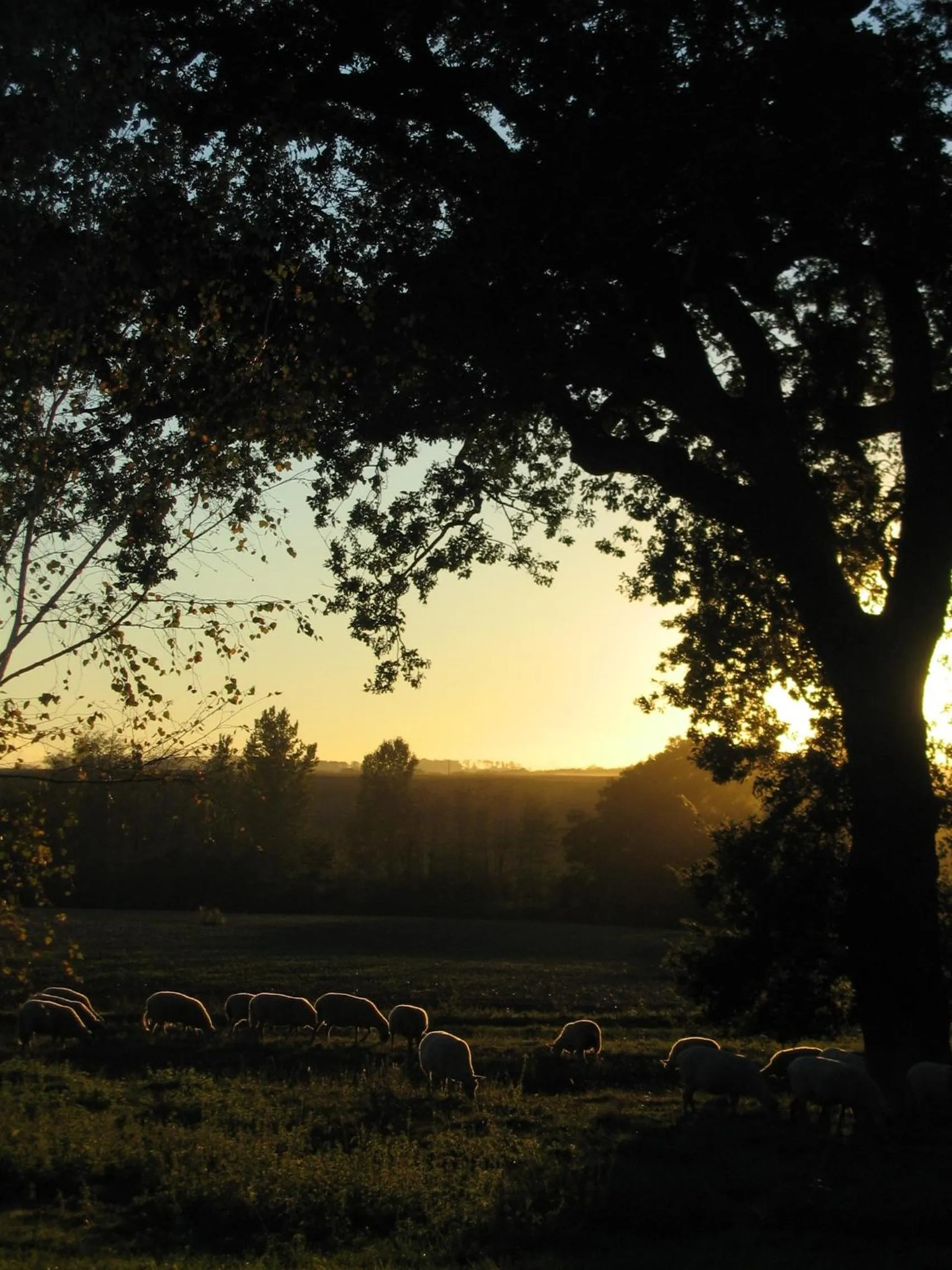 View (from property/room) in La Ferme Montplaisir