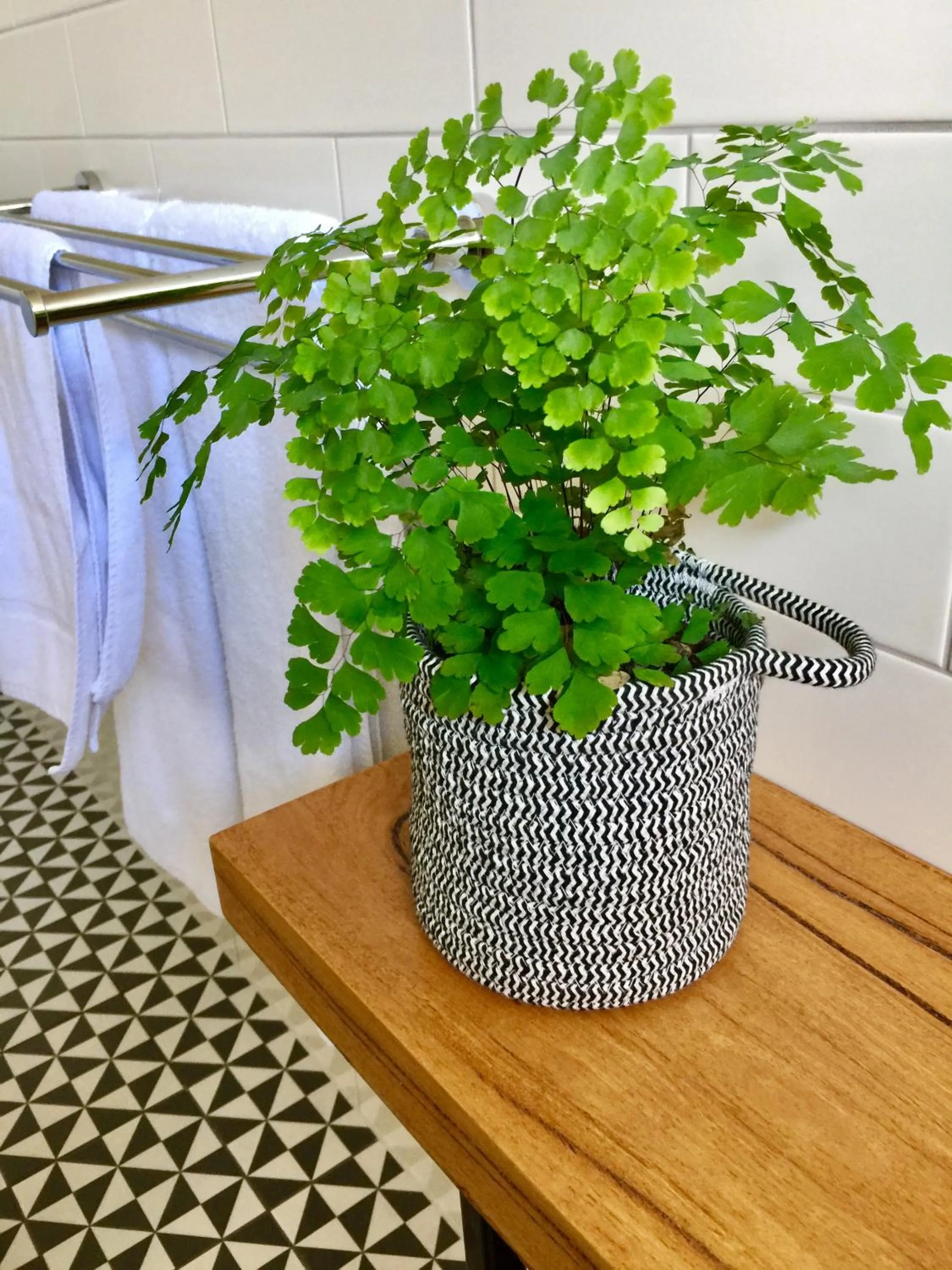 Decorative detail in Sunny Side Up B&B Rye