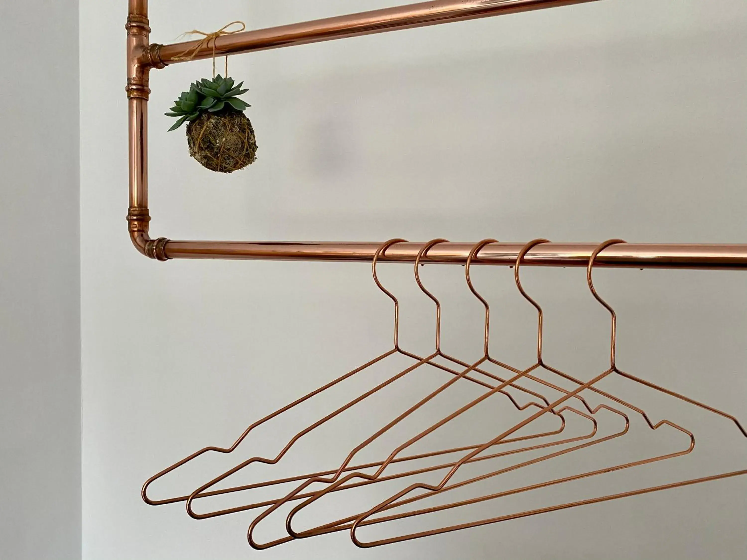 Sunny Side Up B&B Rye Sunny Side Up B&B Rye