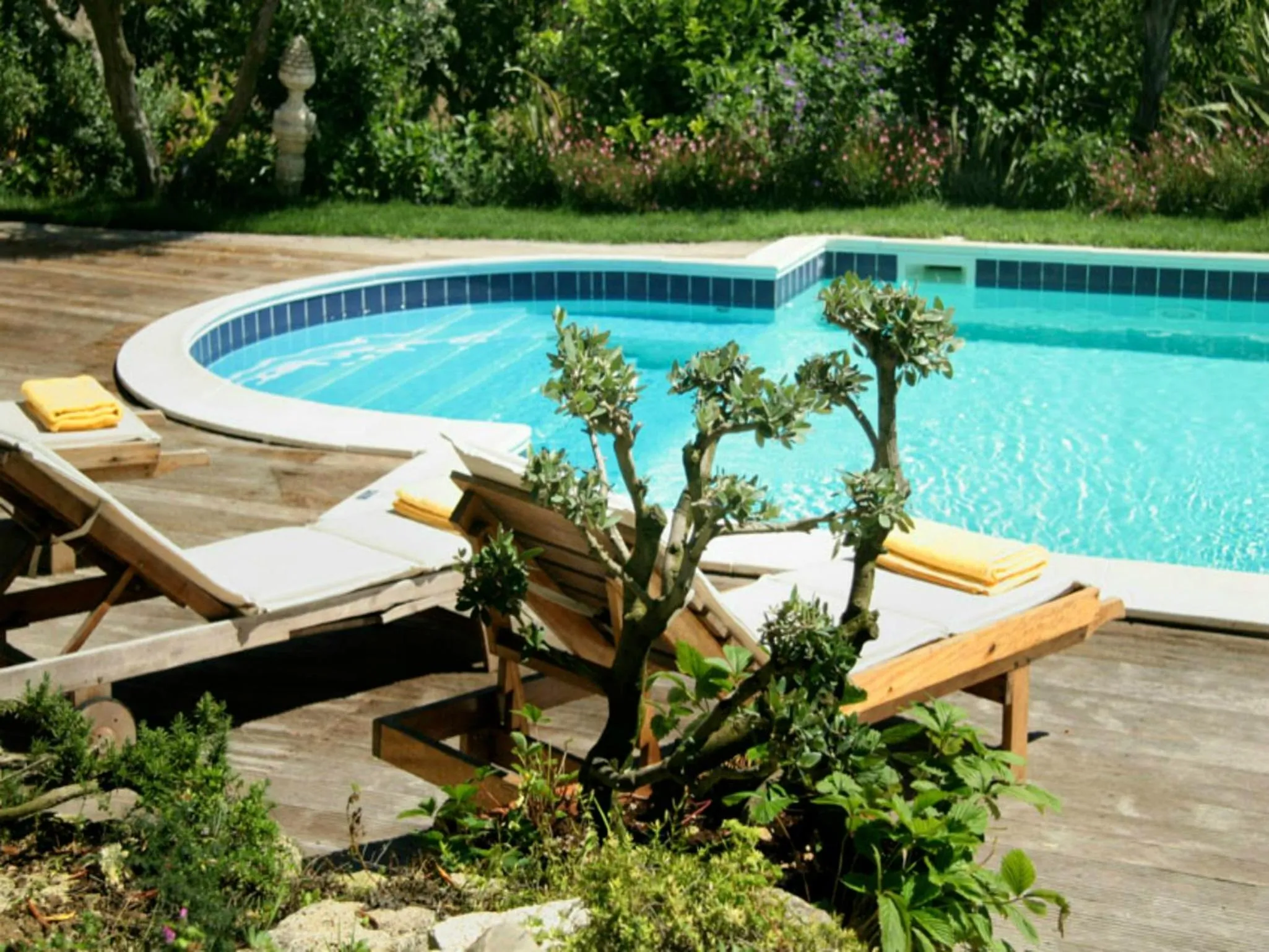 Garden in Villarondanella