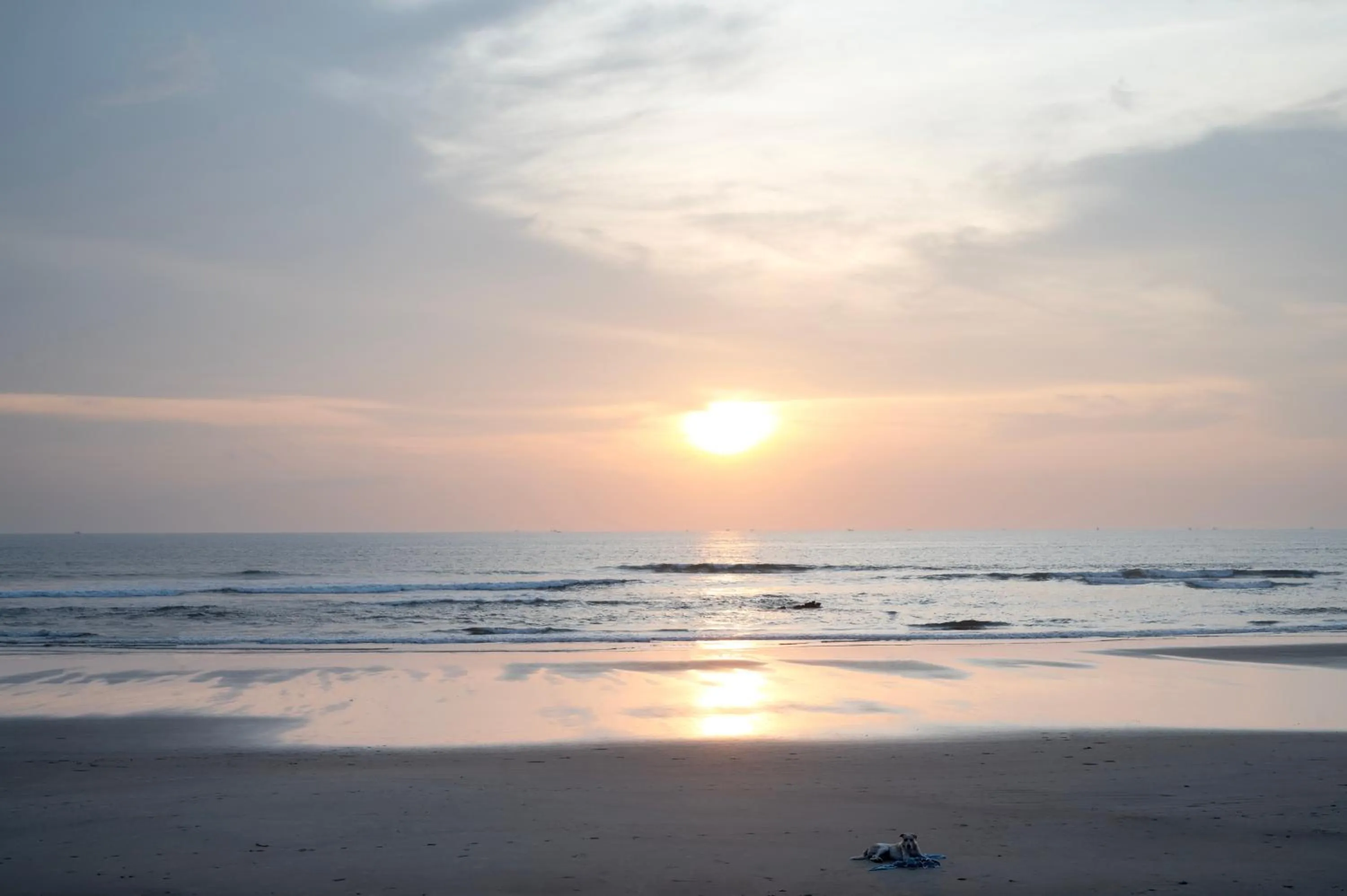 Beach in Palma Beach Resort