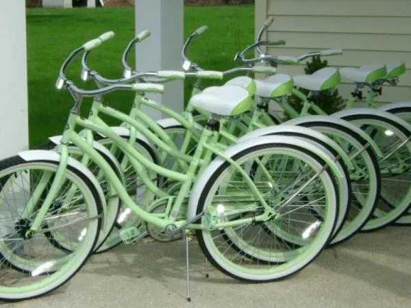 Activities in Haven Point Inn