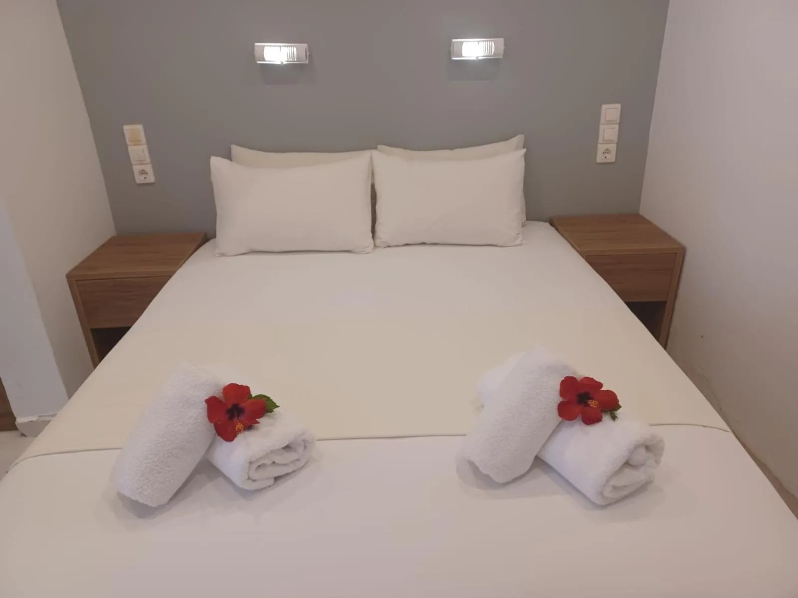 Apartments and Studios Xenophon