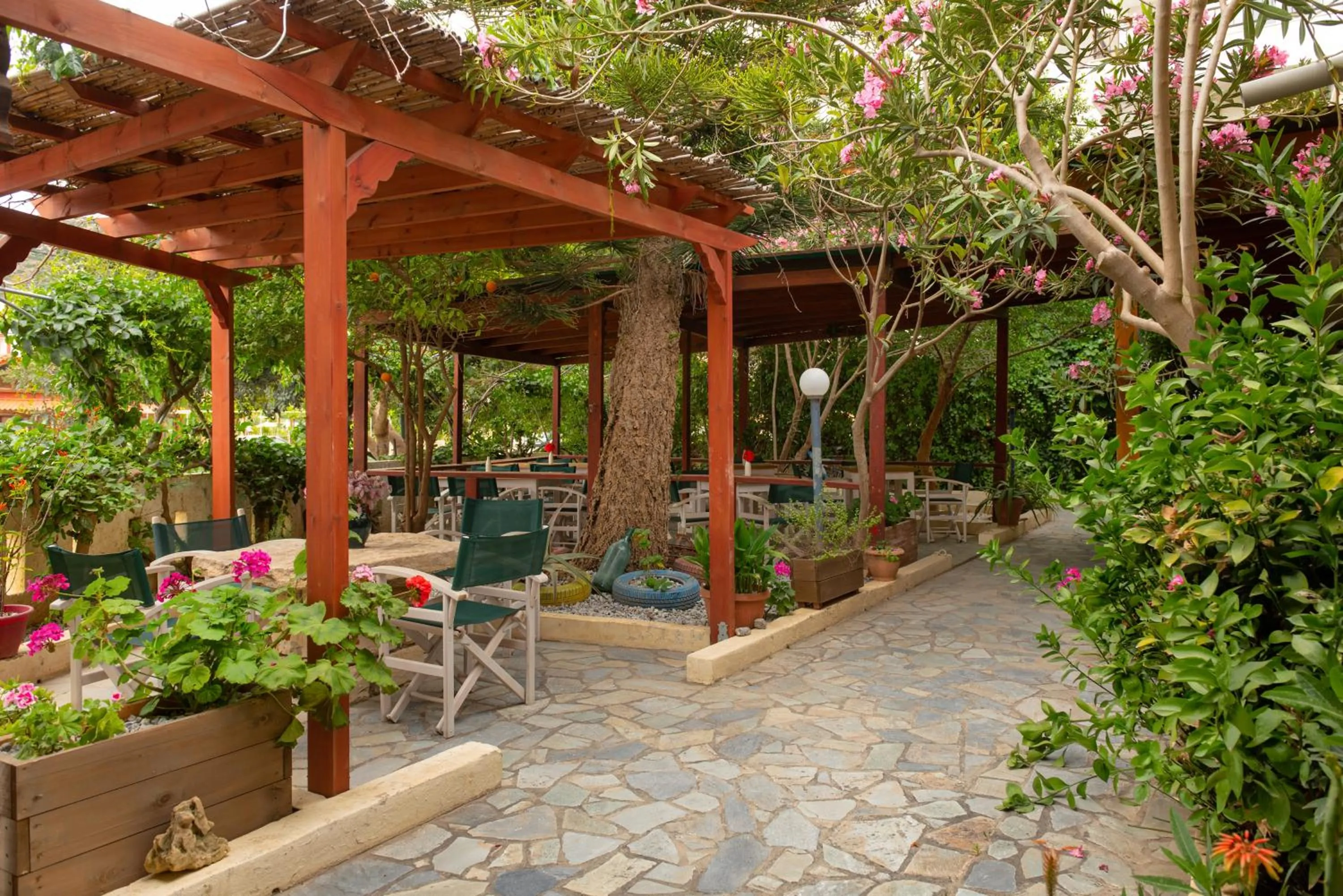 Apartments and Studios Xenophon