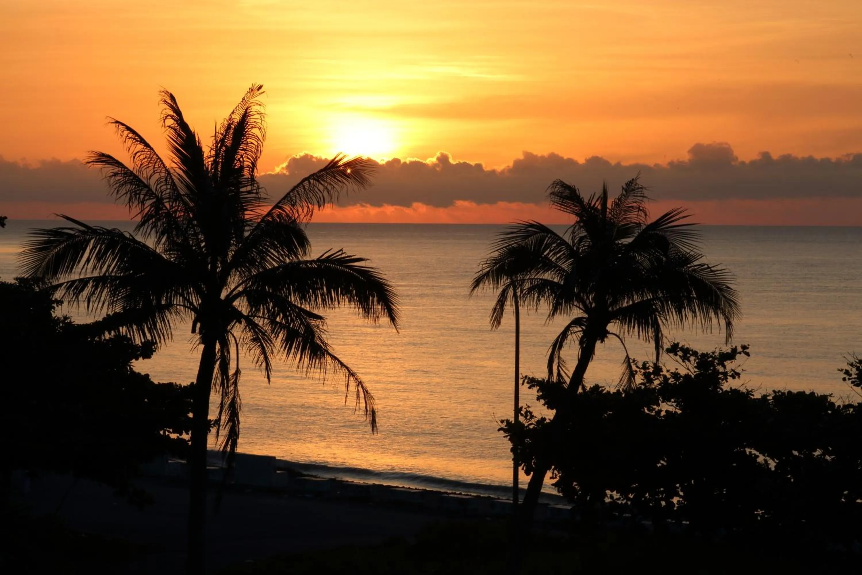 View (from property/room) in Taroko Bay B&B
