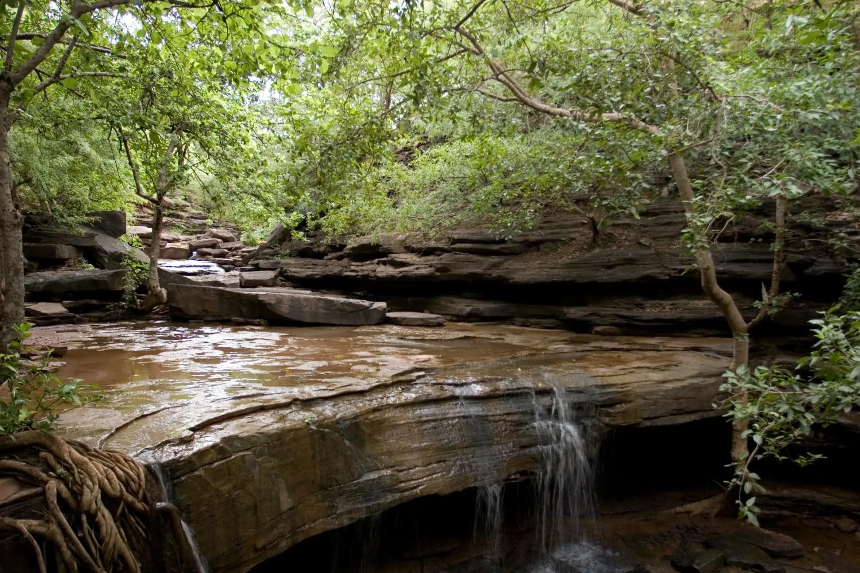 River view in Ramathra Fort River view in Ramathra Fort