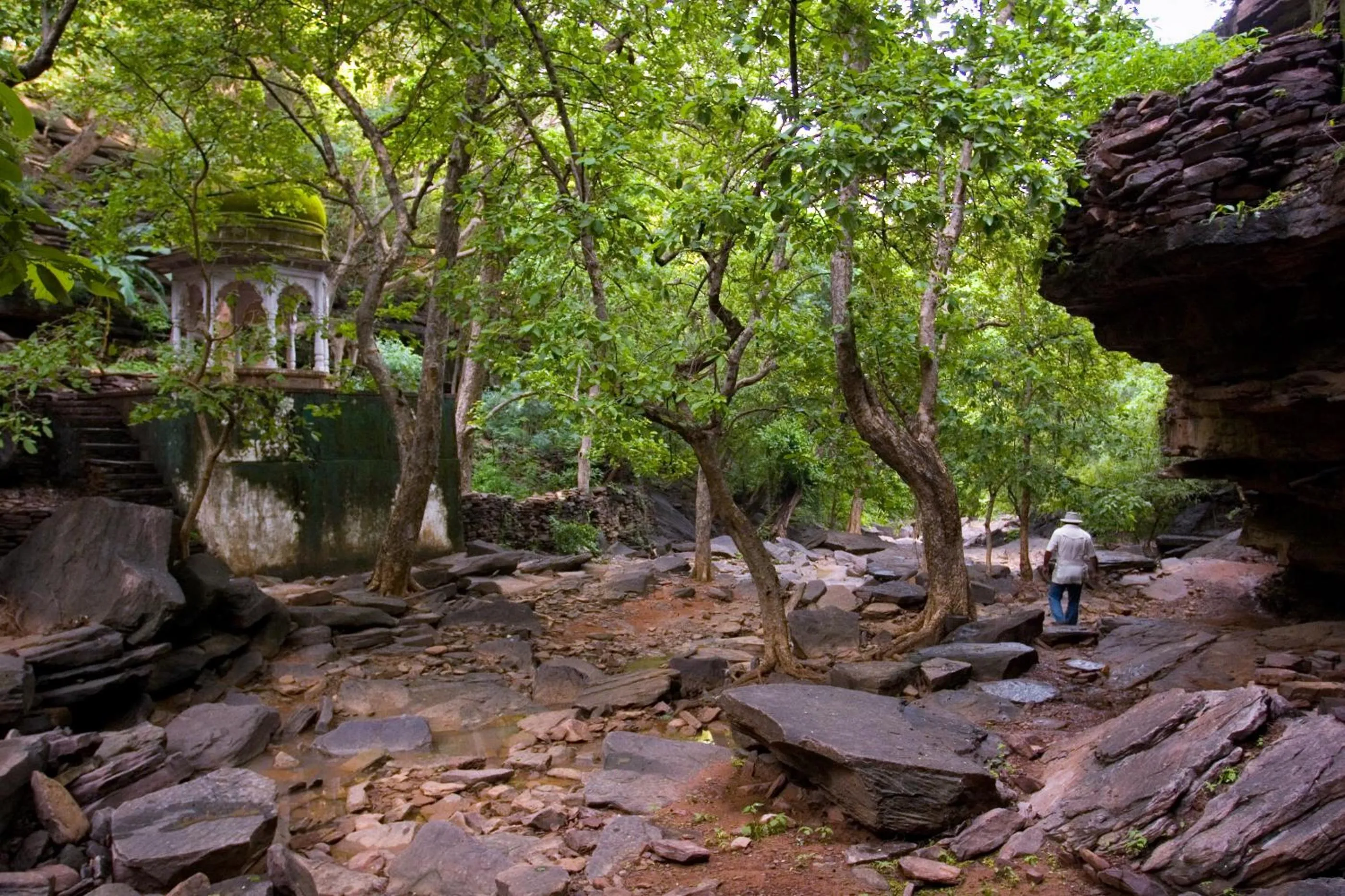 Neighbourhood in Ramathra Fort