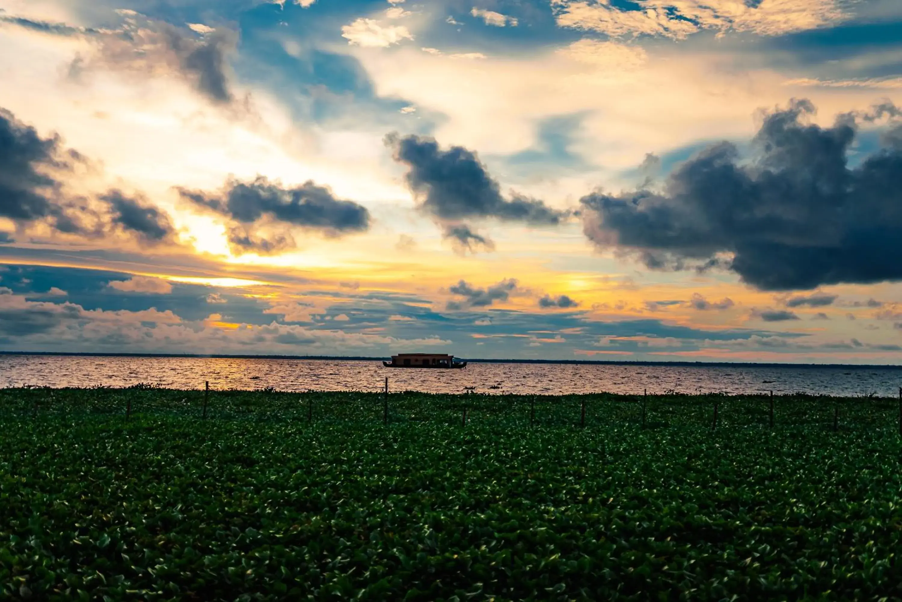 Lake view in Rhythm Kumarakom Lake view in Rhythm Kumarakom