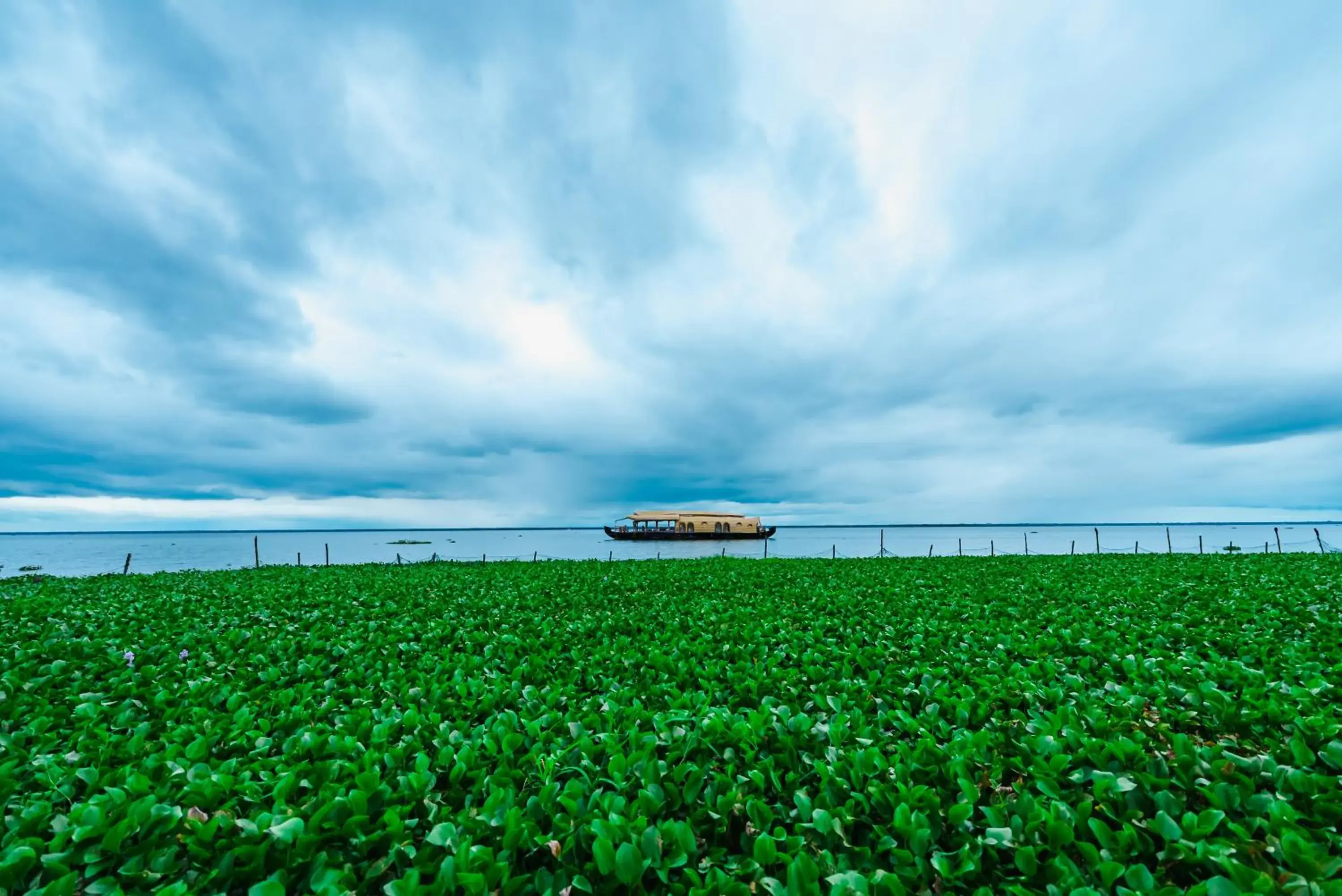Lake view in Rhythm Kumarakom Lake view in Rhythm Kumarakom