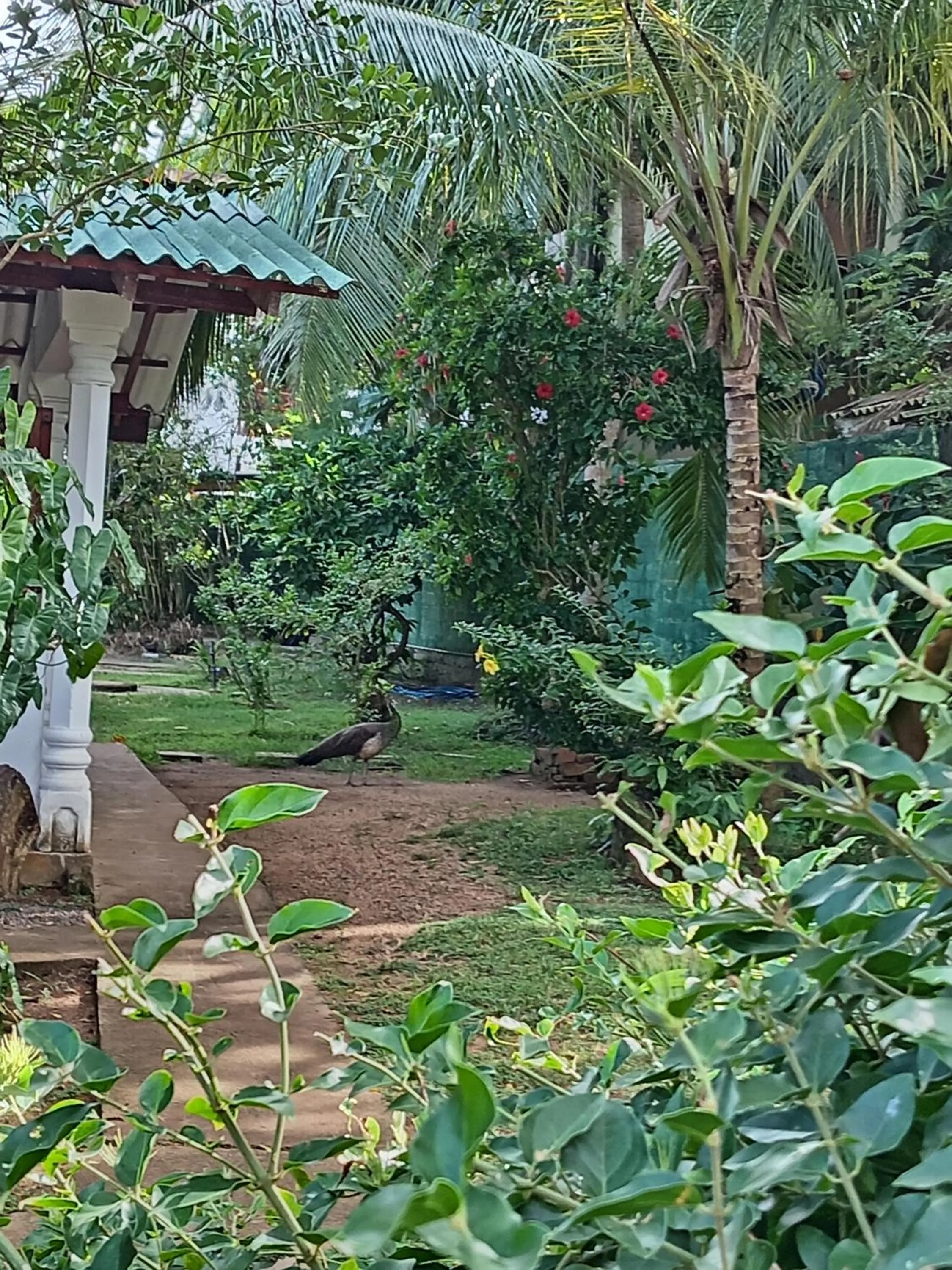 Triple Room with Garden View - single occupancy in Vidisa Villas