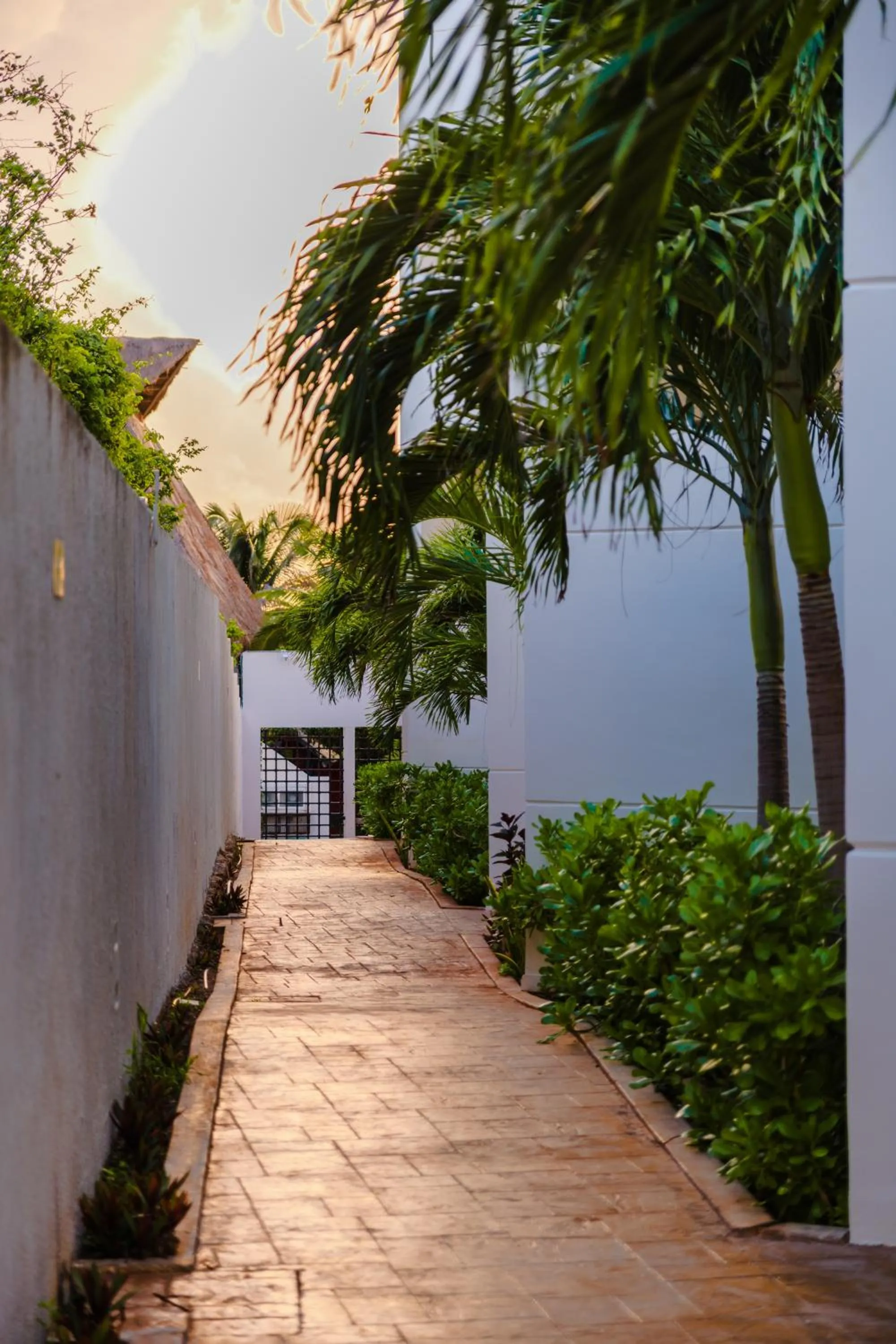 Day in Azulea Isla Mujeres Hotel