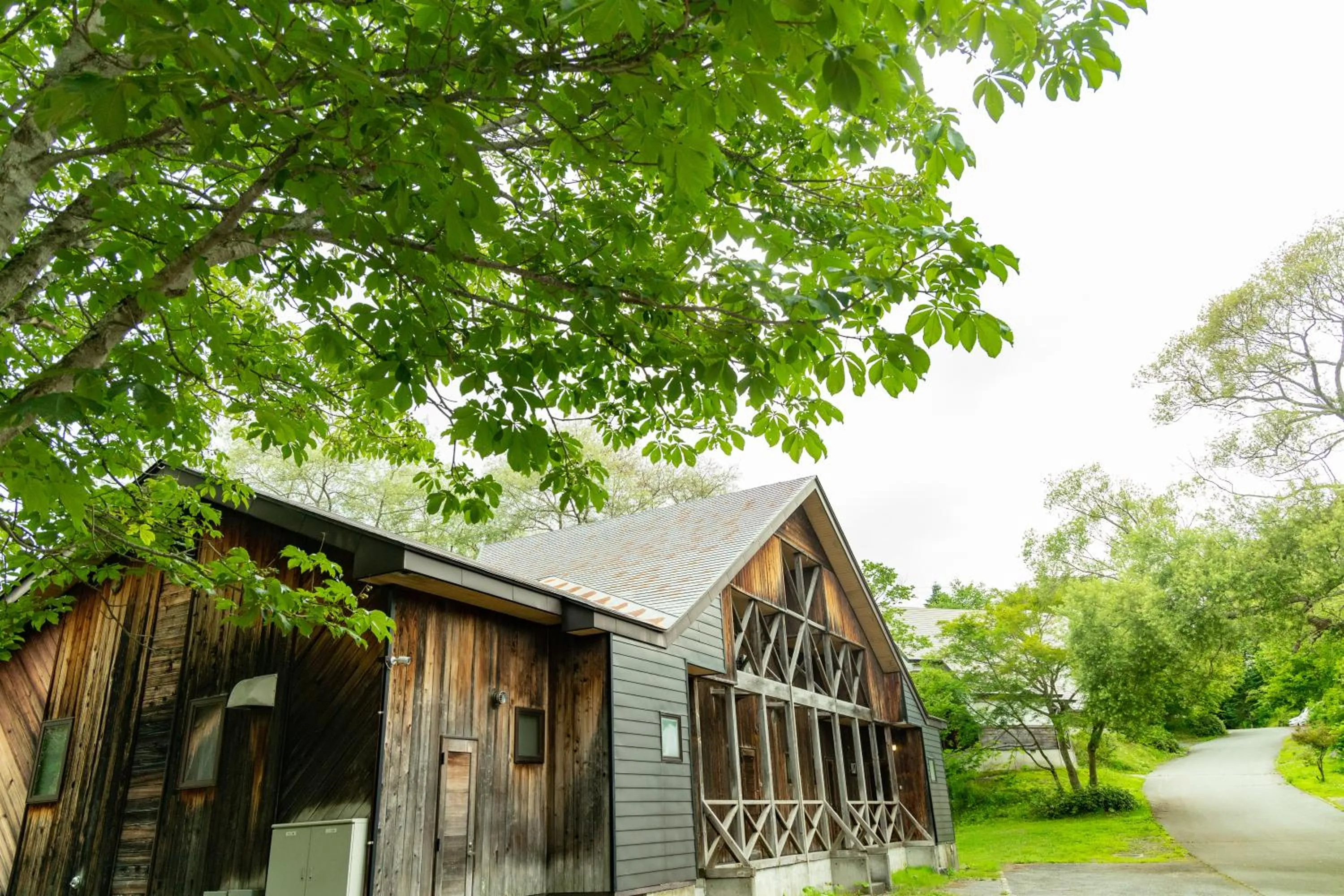 Natural landscape in Nature Cottage Akabeko