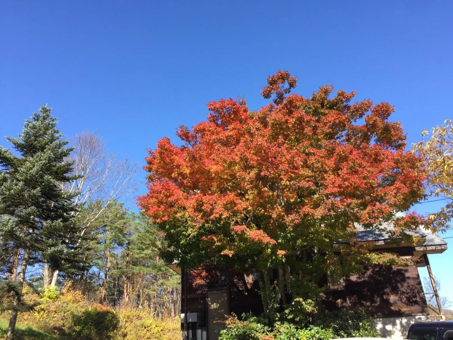 Natural landscape in Nature Cottage Akabeko